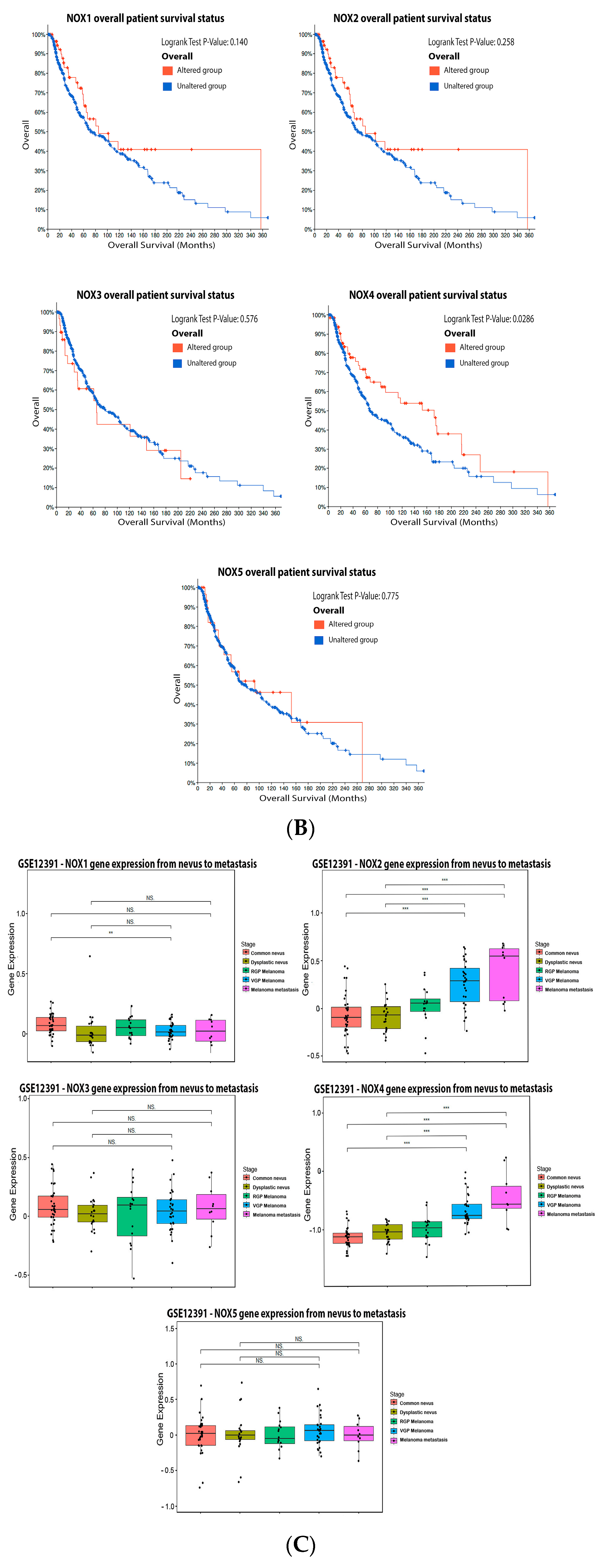 Antioxidants 11 00438 g002b Antioxidants 11 00438 g002b