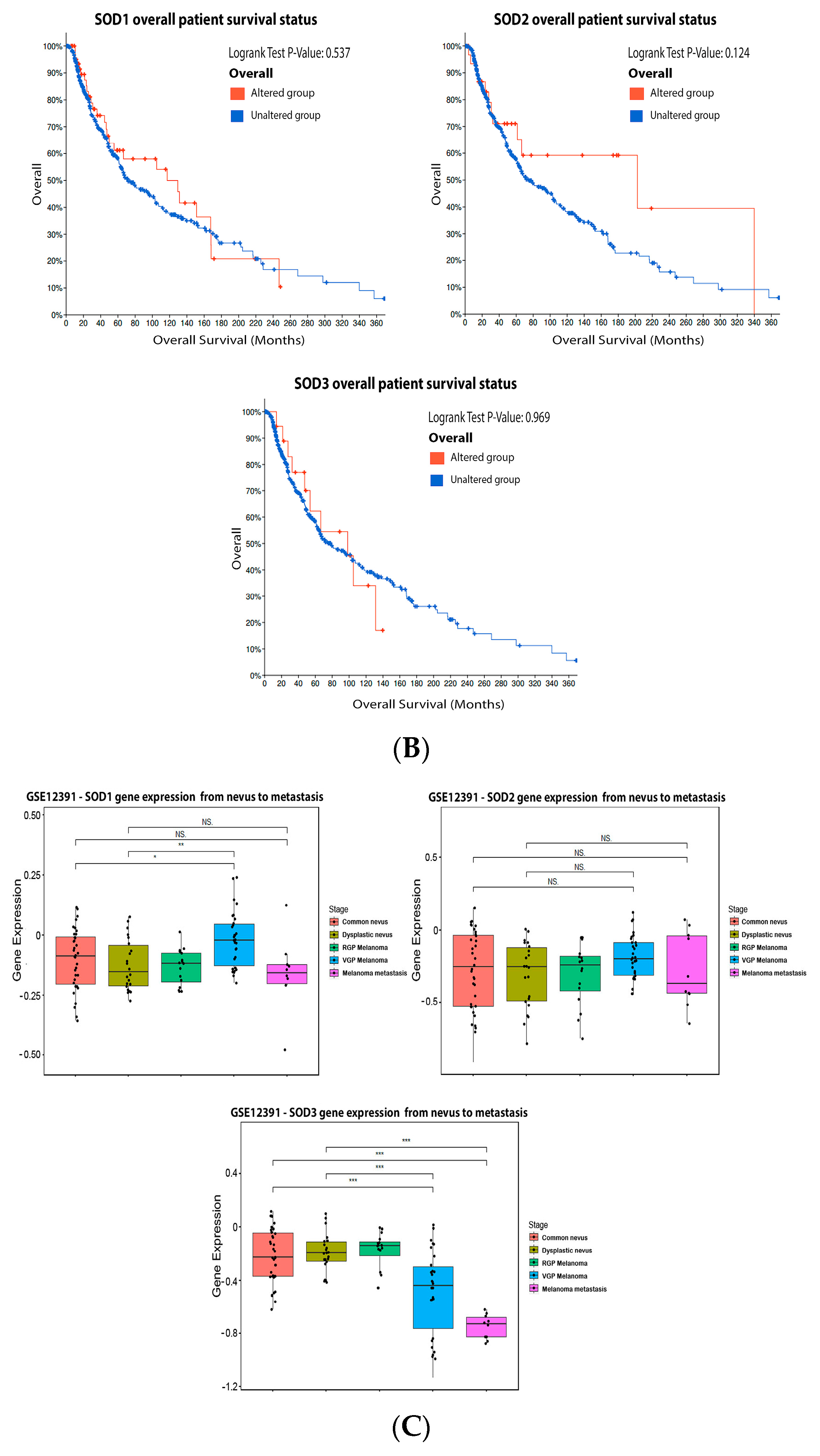 Antioxidants 11 00438 g003b Antioxidants 11 00438 g003b