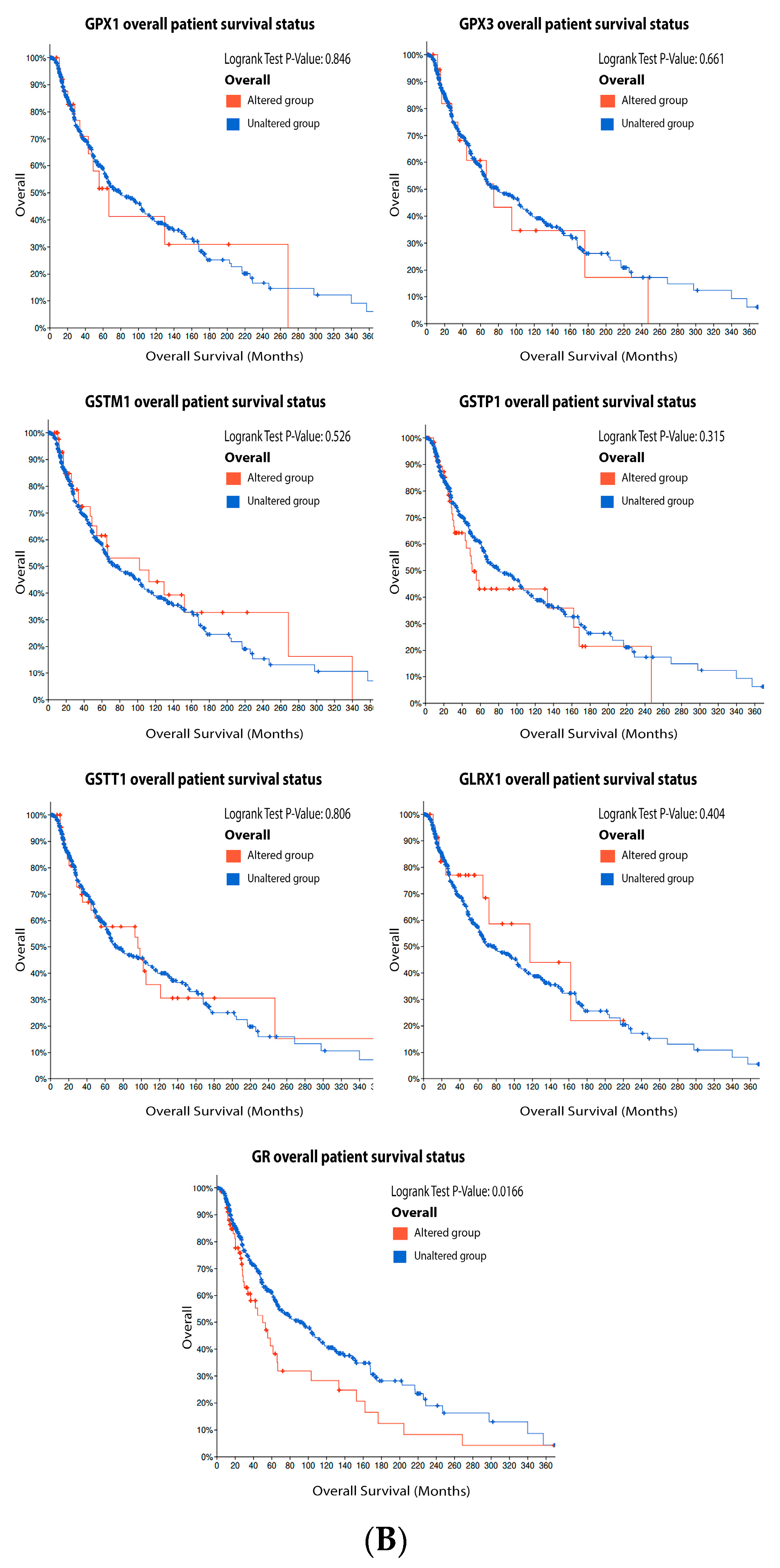 Antioxidants 11 00438 g005b Antioxidants 11 00438 g005b