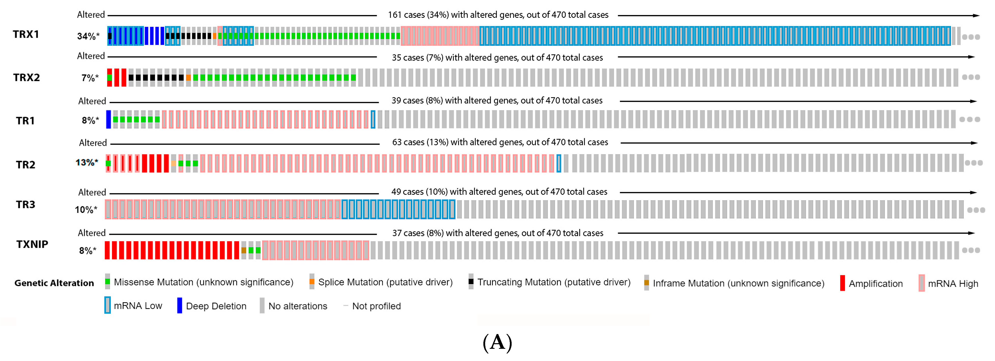 Antioxidants 11 00438 g006a Antioxidants 11 00438 g006a