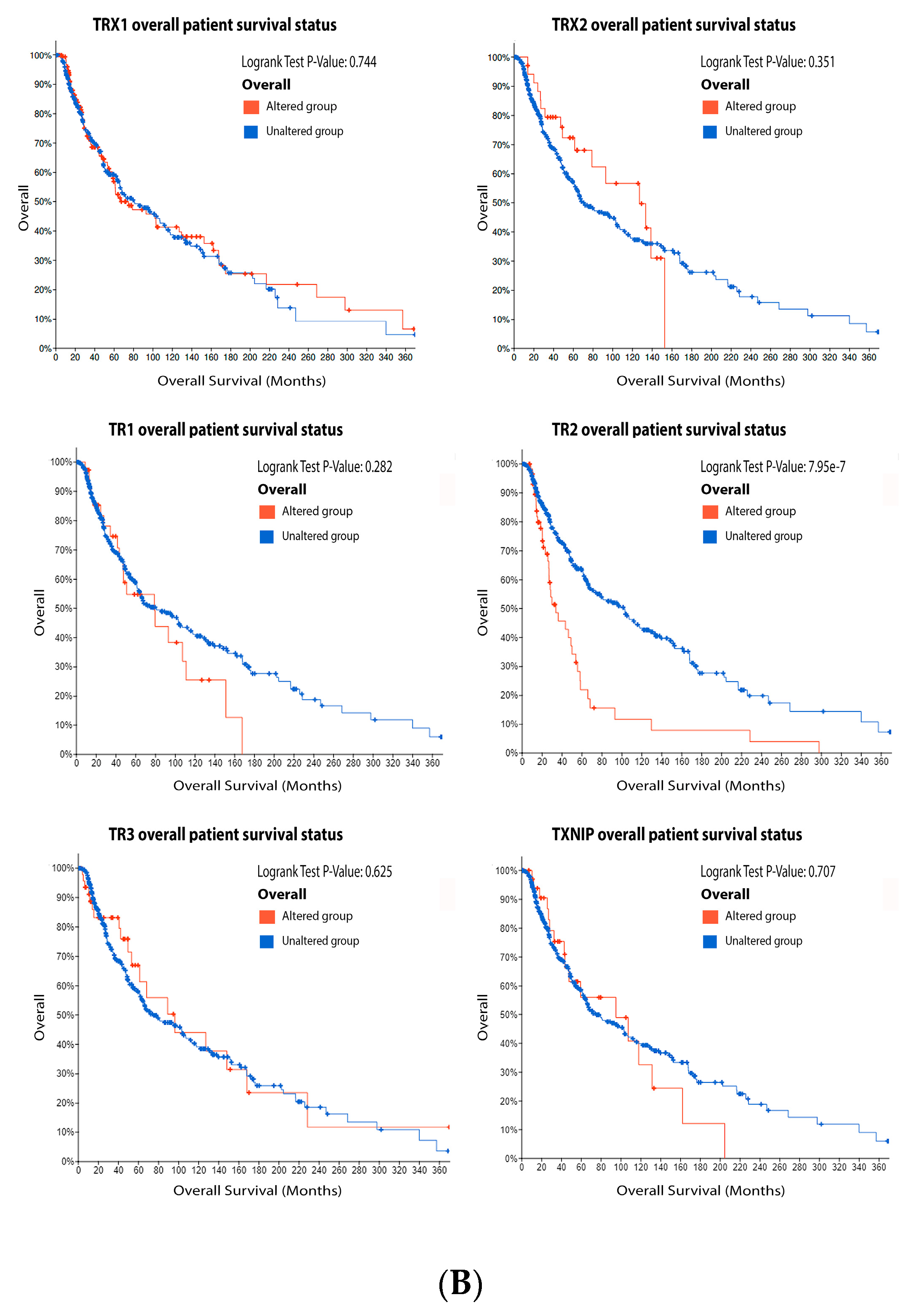 Antioxidants 11 00438 g006b Antioxidants 11 00438 g006b