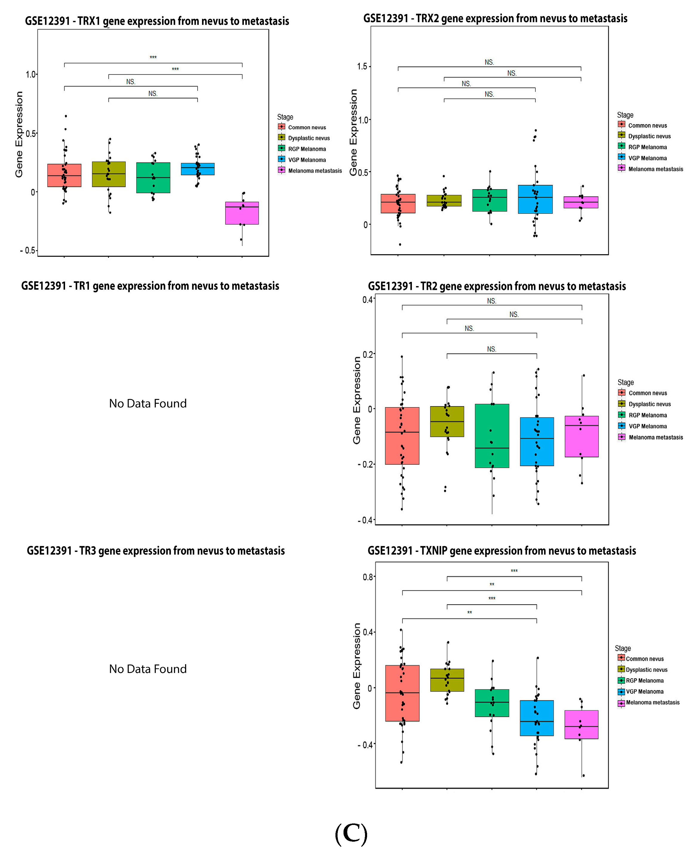 Antioxidants 11 00438 g006c Antioxidants 11 00438 g006c