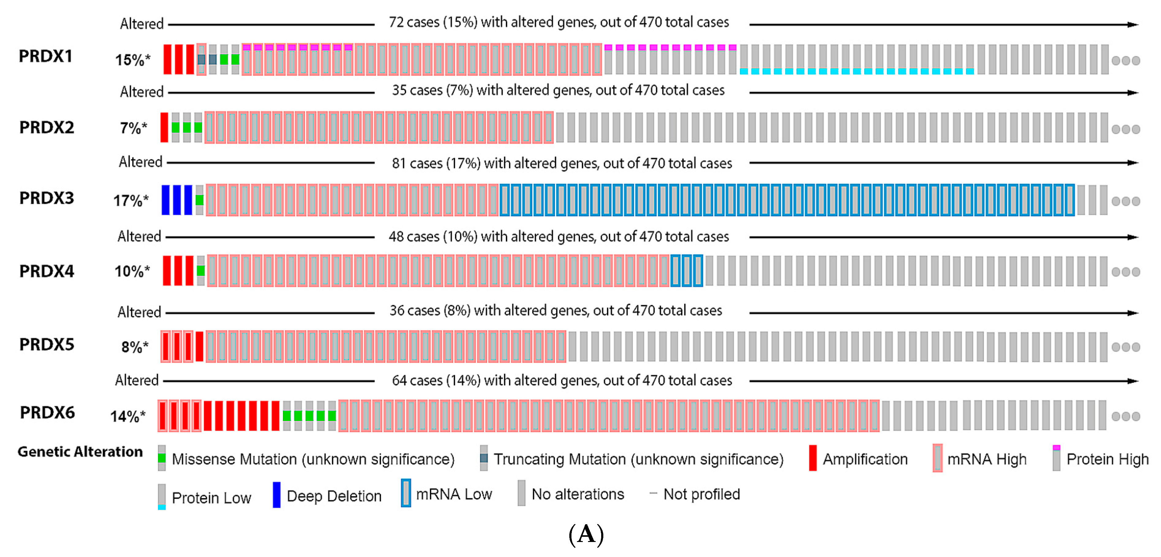 Antioxidants 11 00438 g007a Antioxidants 11 00438 g007a