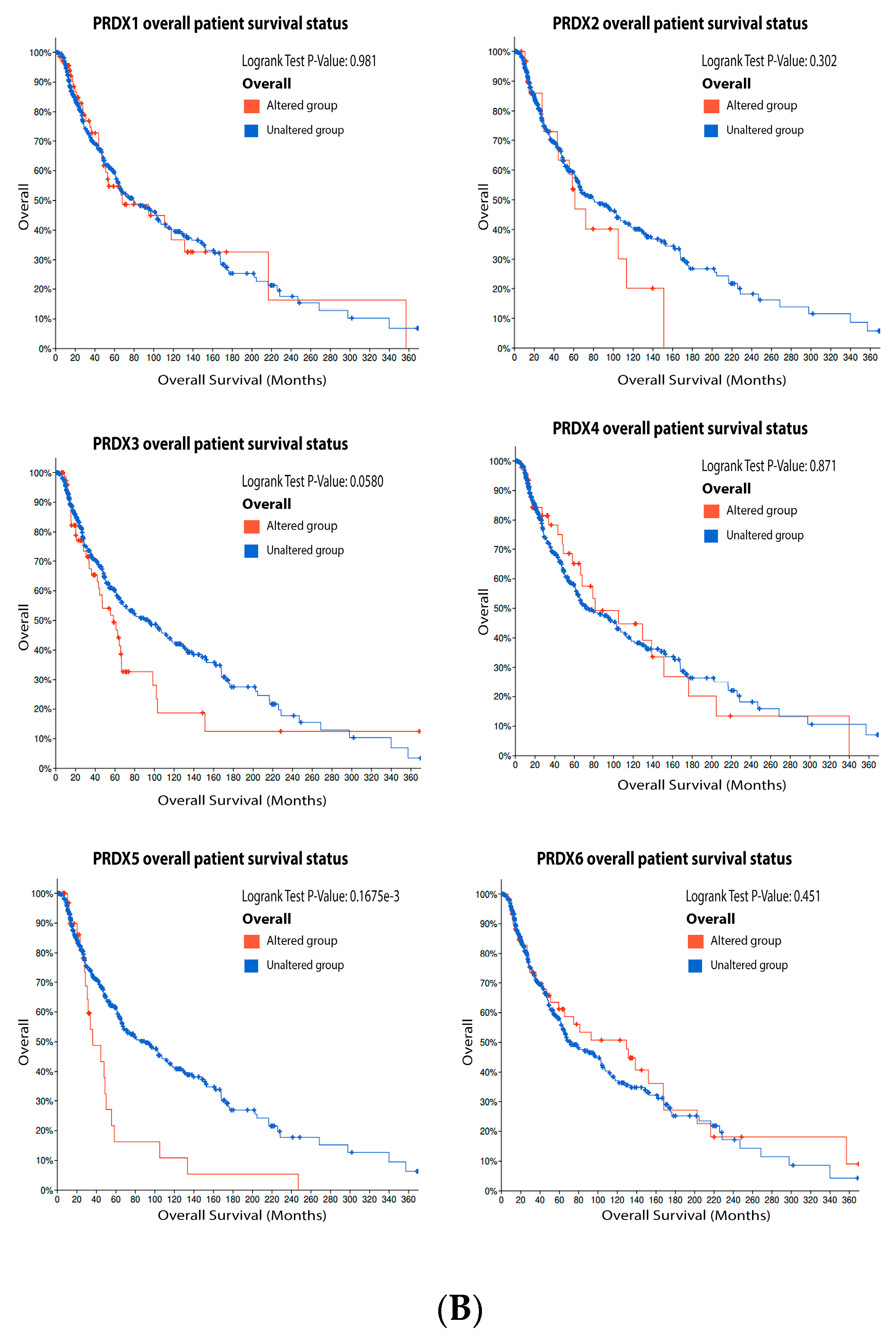 Antioxidants 11 00438 g007b Antioxidants 11 00438 g007b
