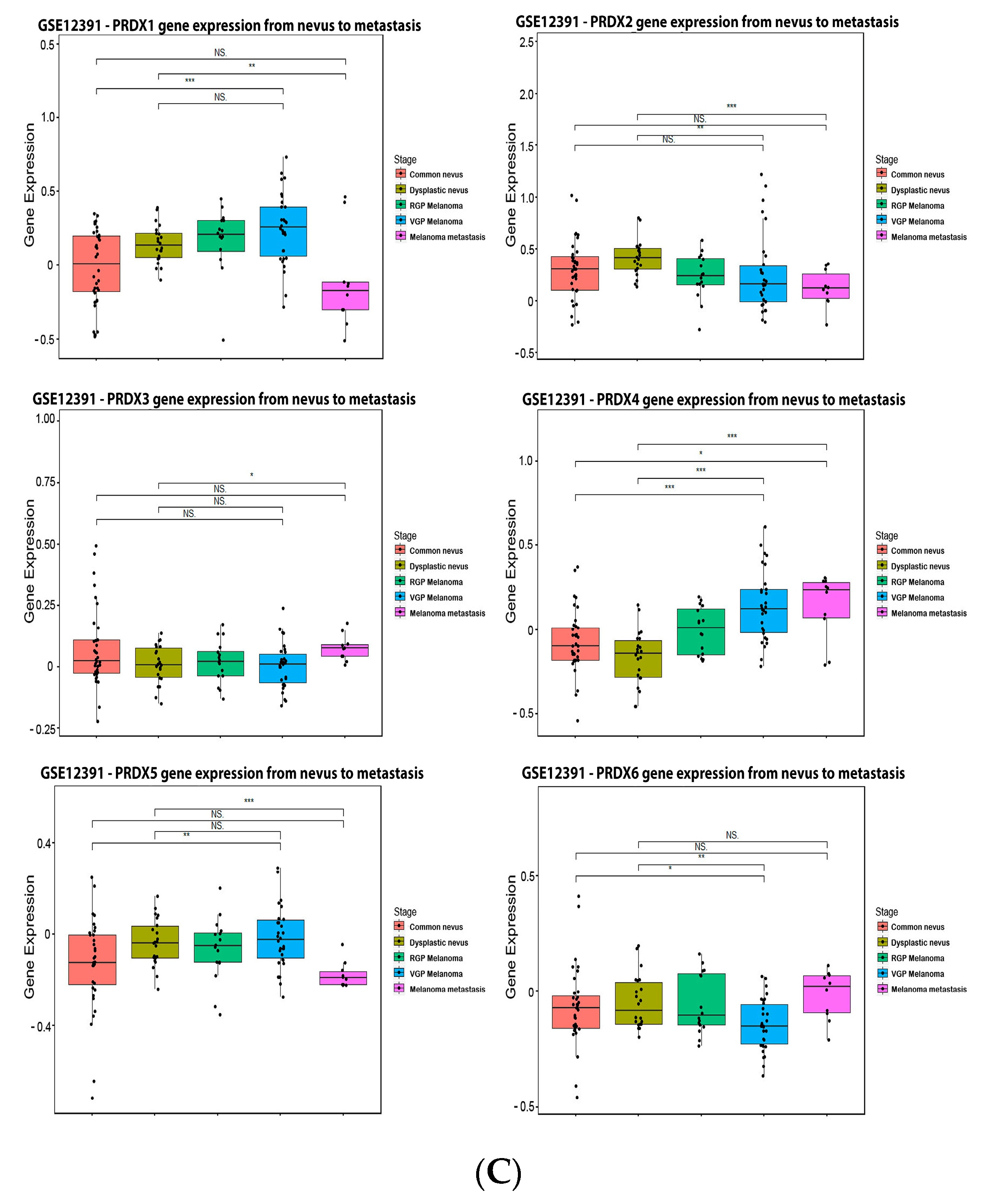 Antioxidants 11 00438 g007c Antioxidants 11 00438 g007c