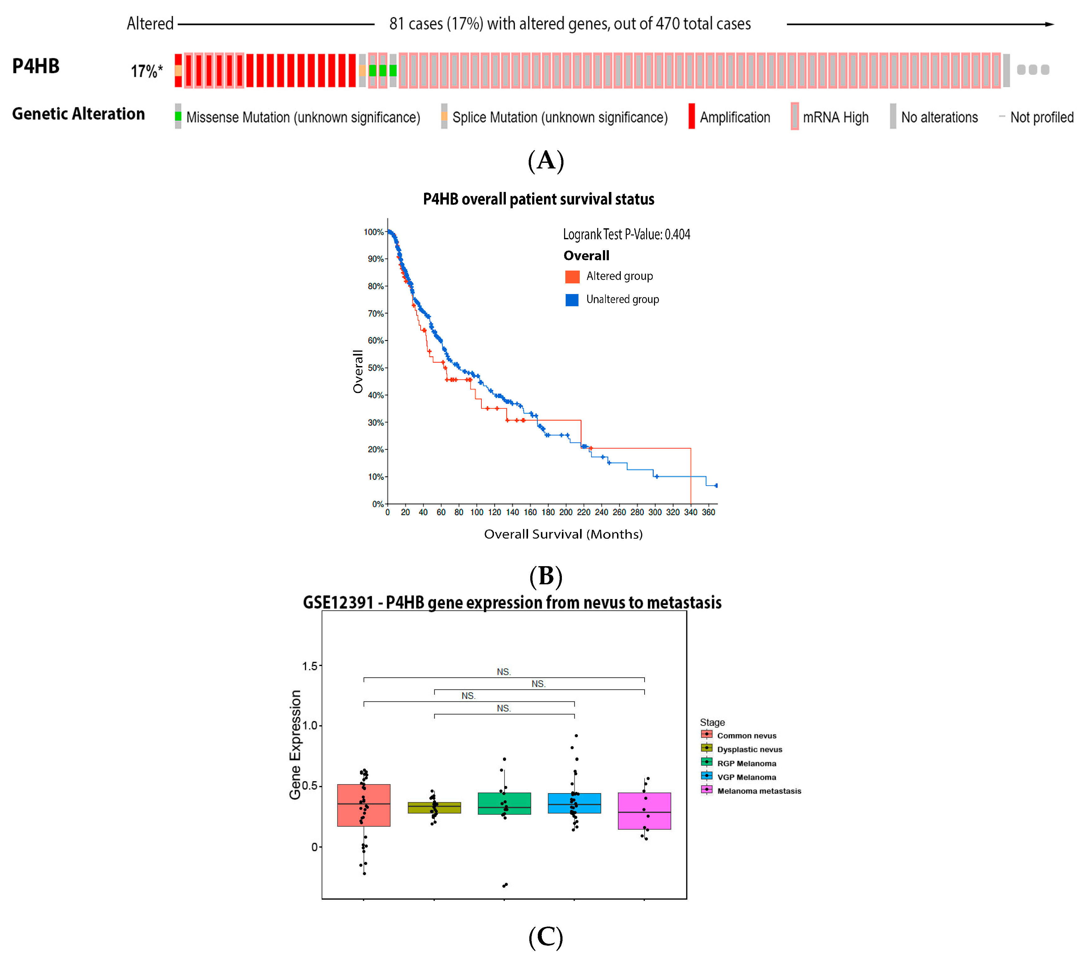 Antioxidants 11 00438 g008 Antioxidants 11 00438 g008
