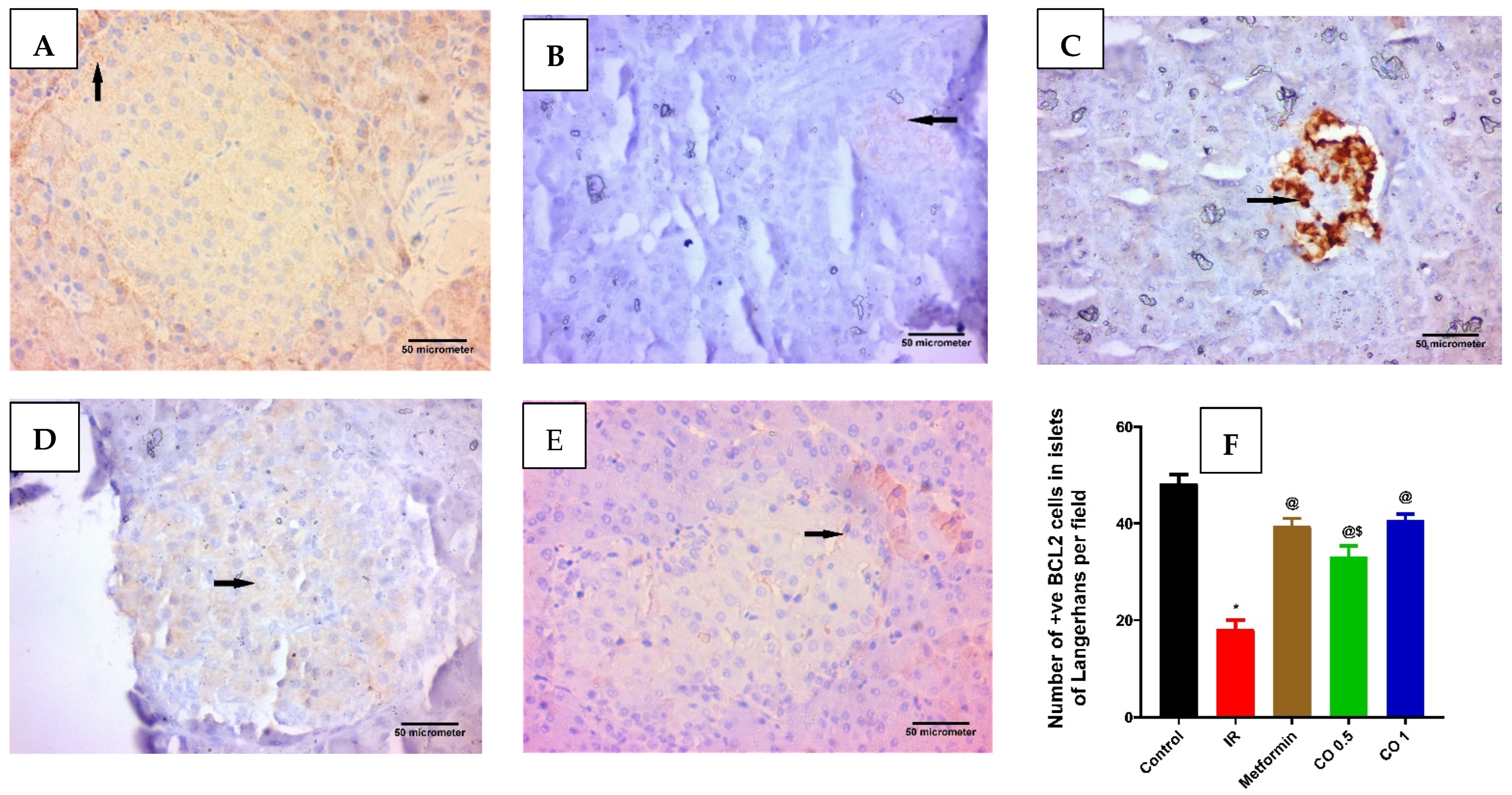 Antioxidants 11 00441 g008