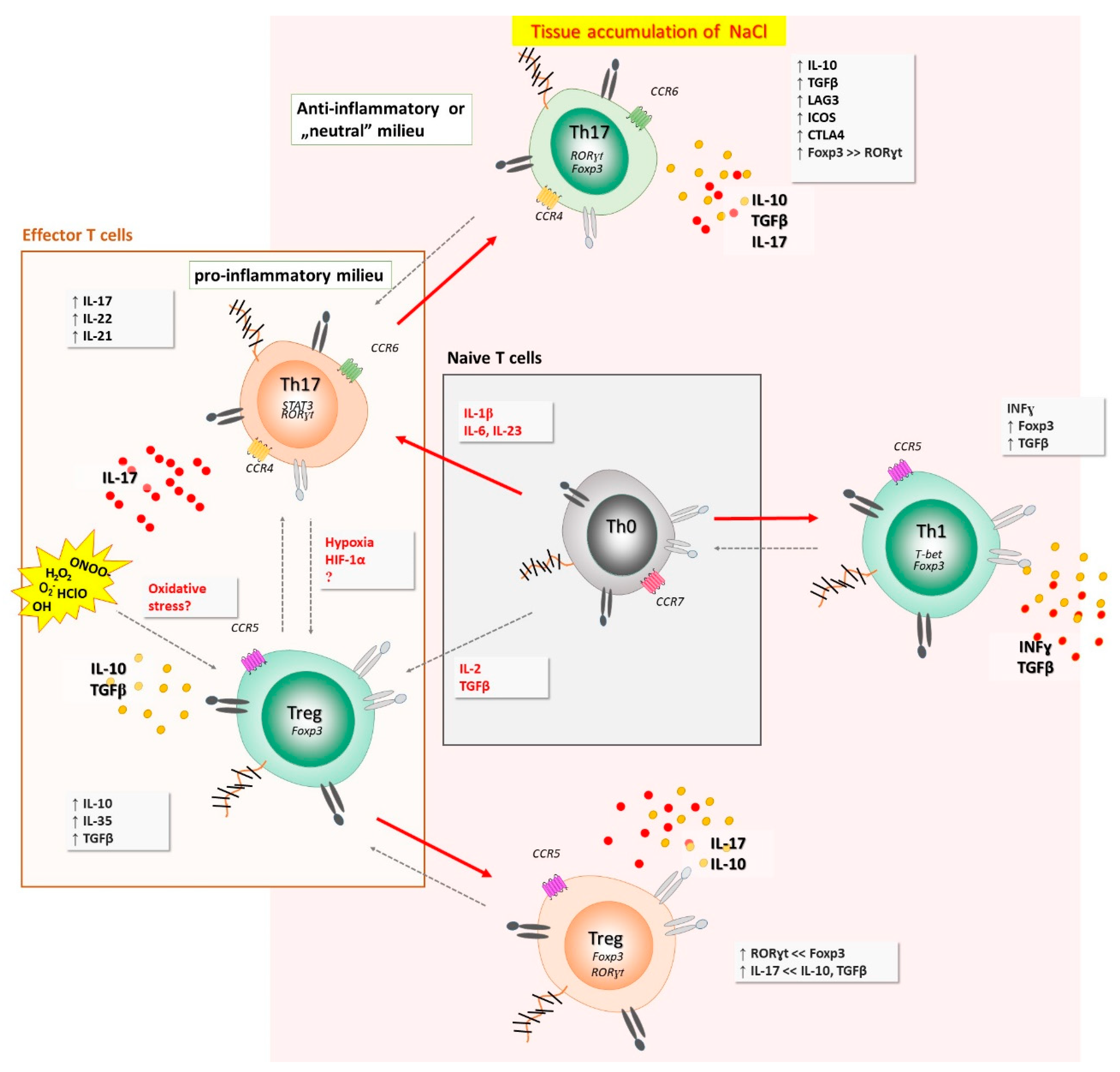 Antioxidants 11 00444 g006