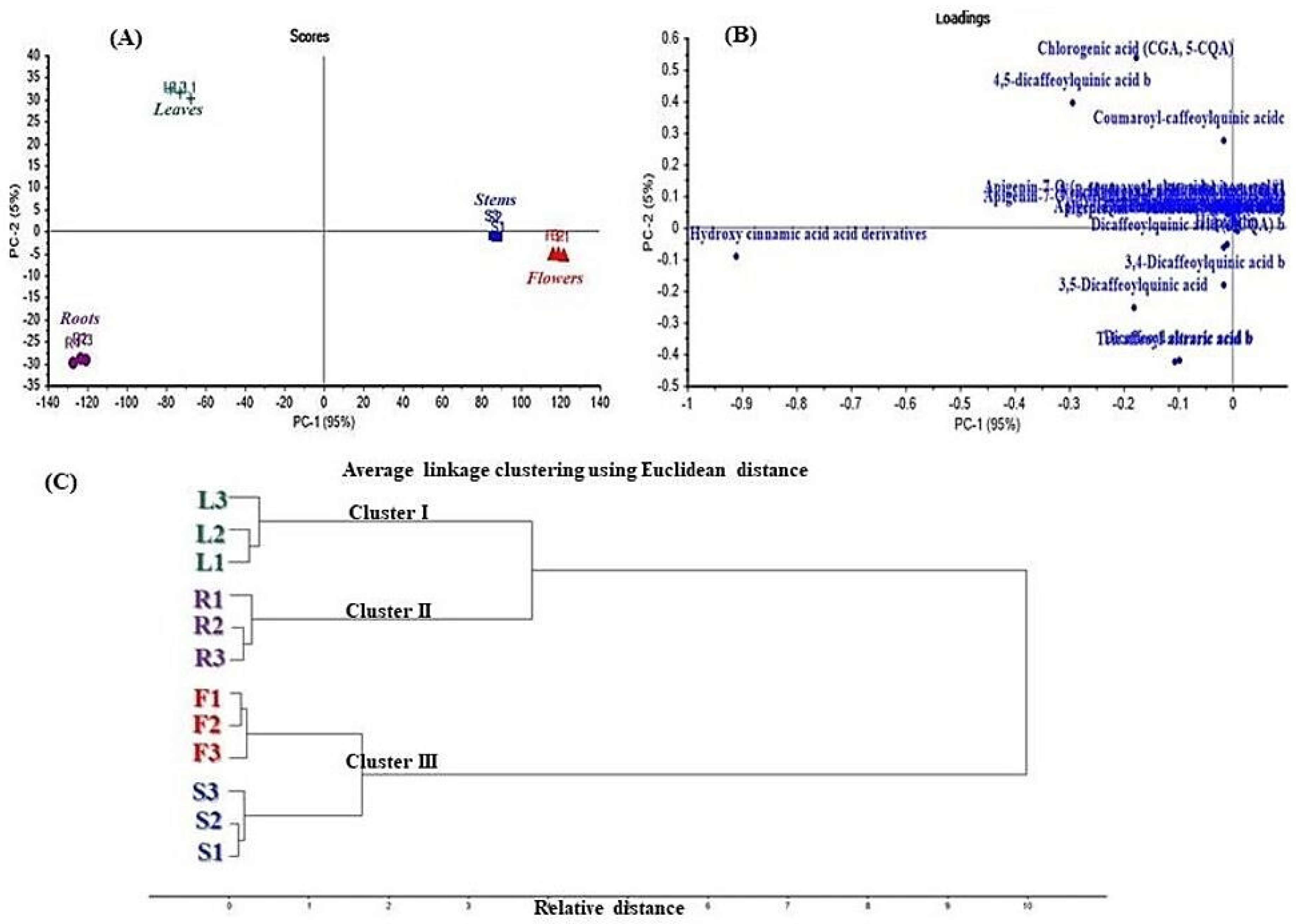 Antioxidants 11 00453 g002 Antioxidants 11 00453 g002