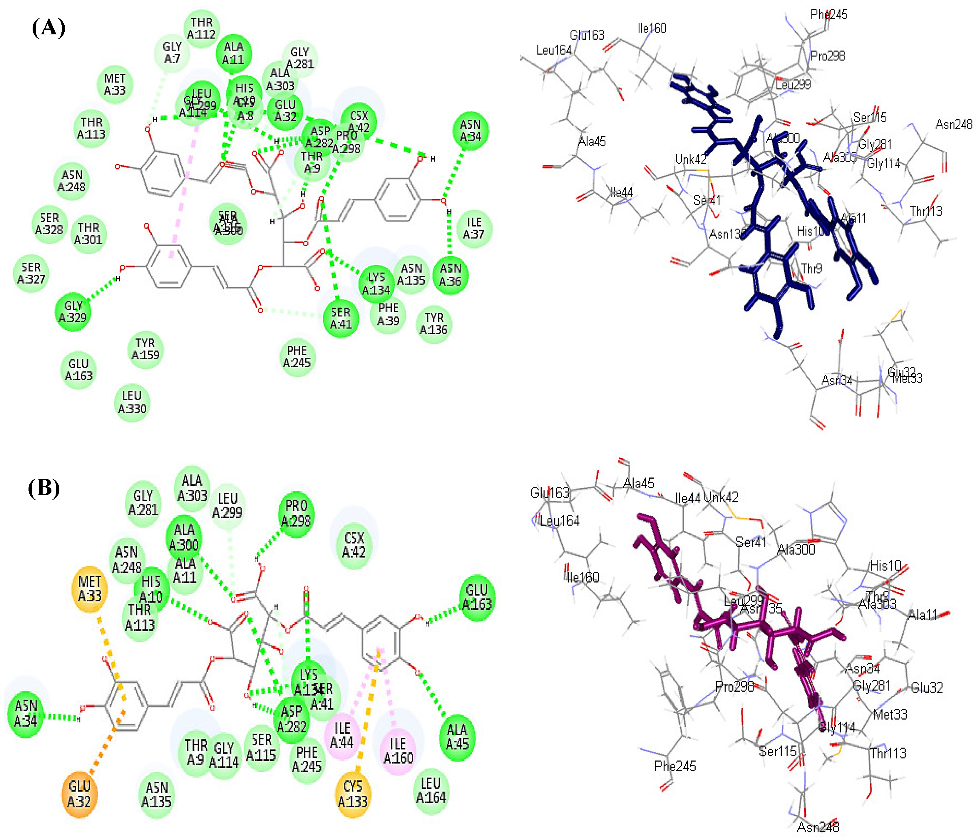Antioxidants 11 00453 g003 Antioxidants 11 00453 g003