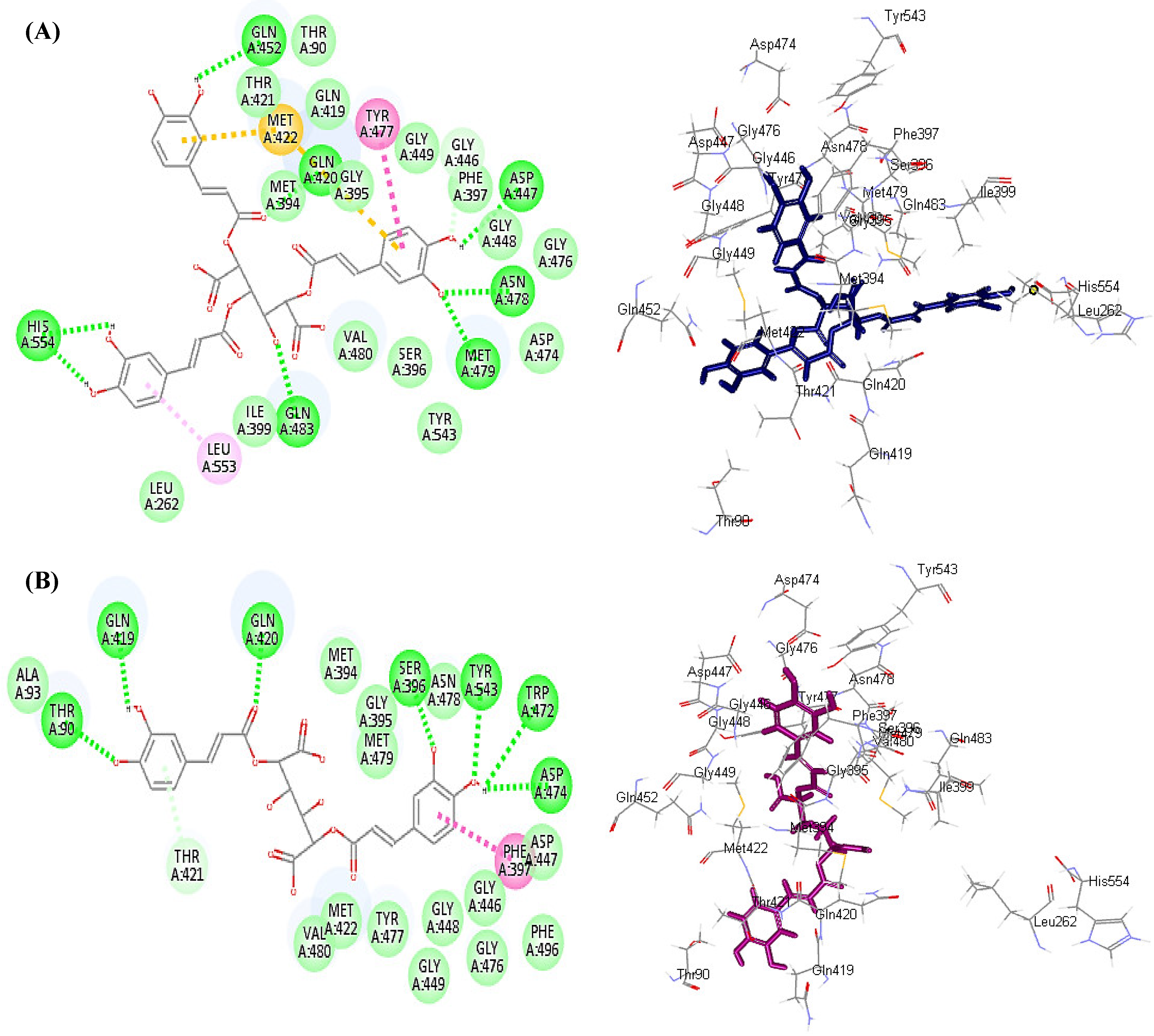 Antioxidants 11 00453 g004 Antioxidants 11 00453 g004