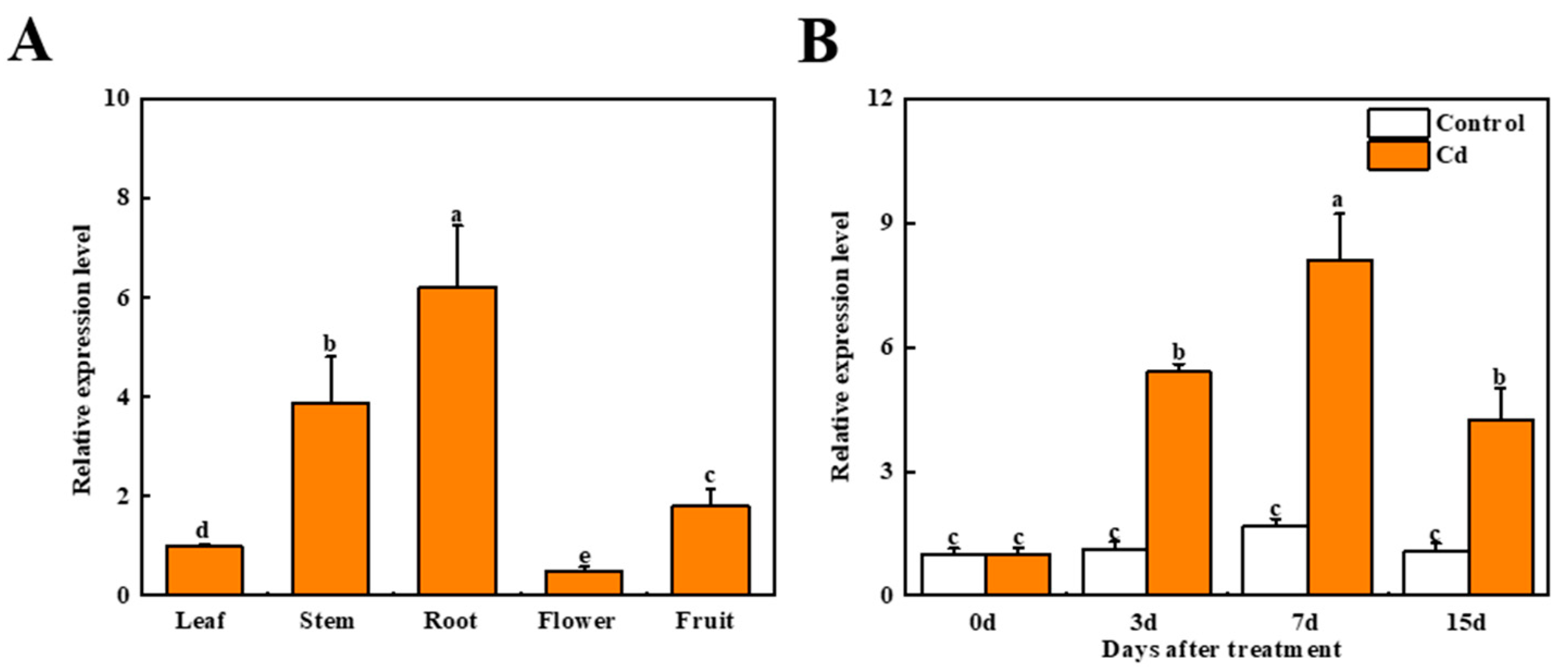 Antioxidants 11 00456 g001 Antioxidants 11 00456 g001
