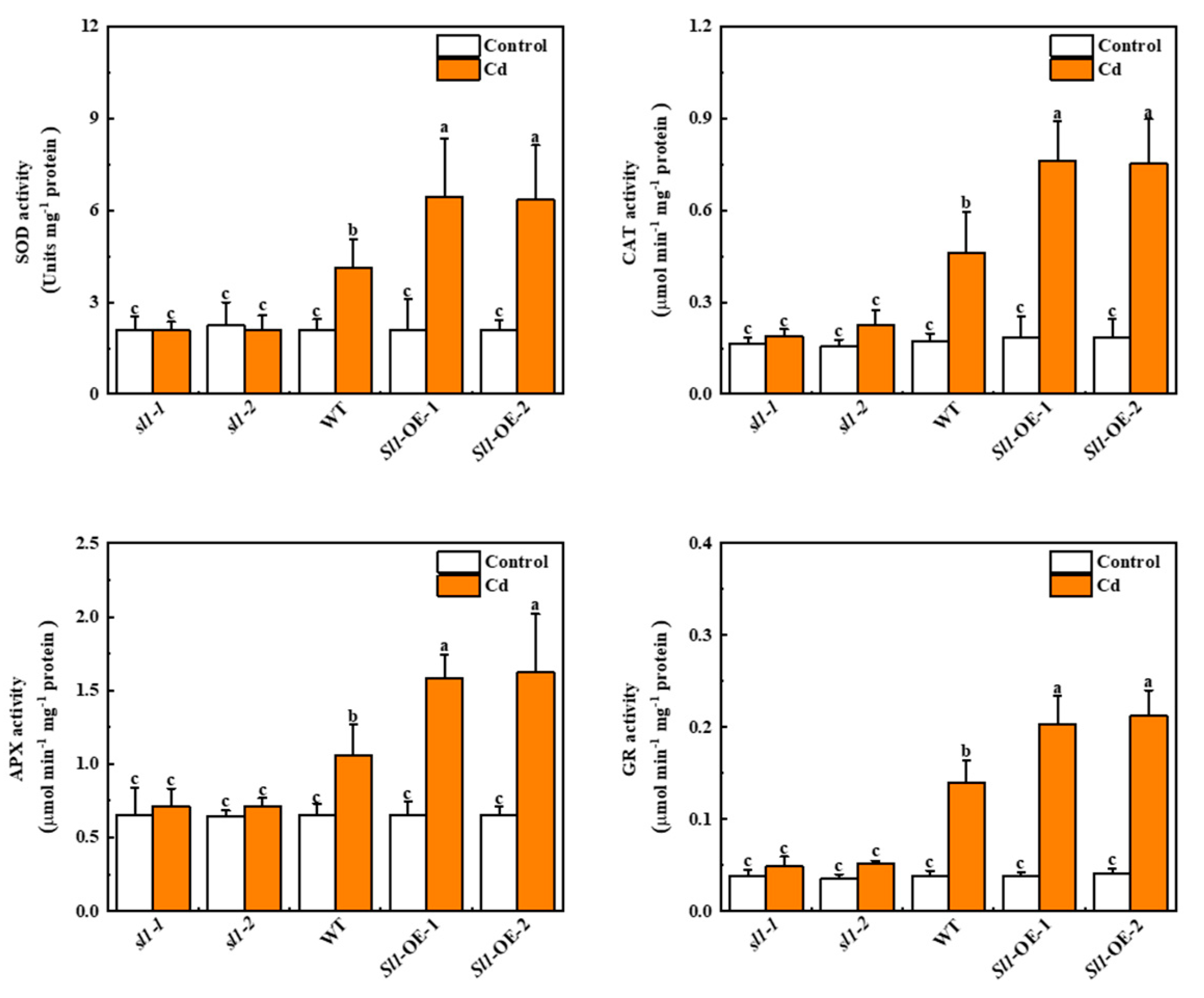 Antioxidants 11 00456 g004 Antioxidants 11 00456 g004