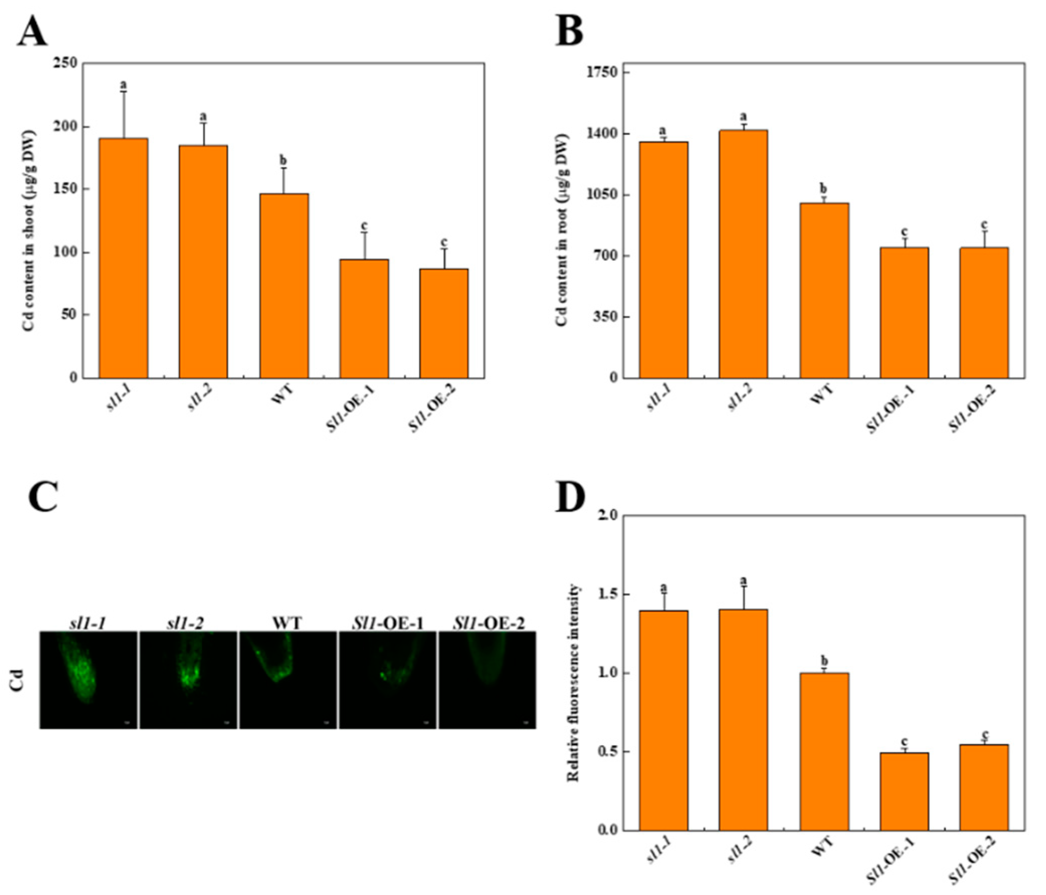 Antioxidants 11 00456 g005 Antioxidants 11 00456 g005