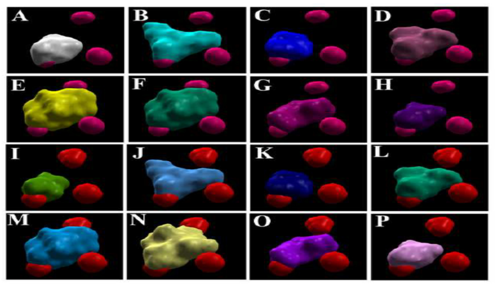 Antioxidants 11 00458 g002 550