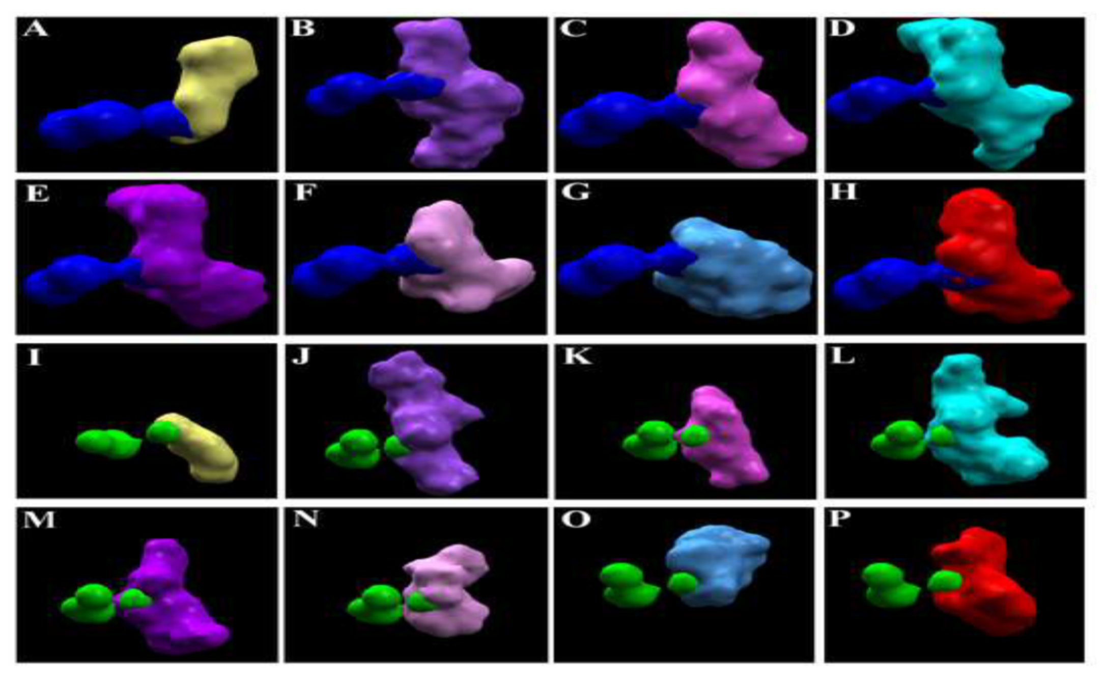 Antioxidants 11 00458 g004 550