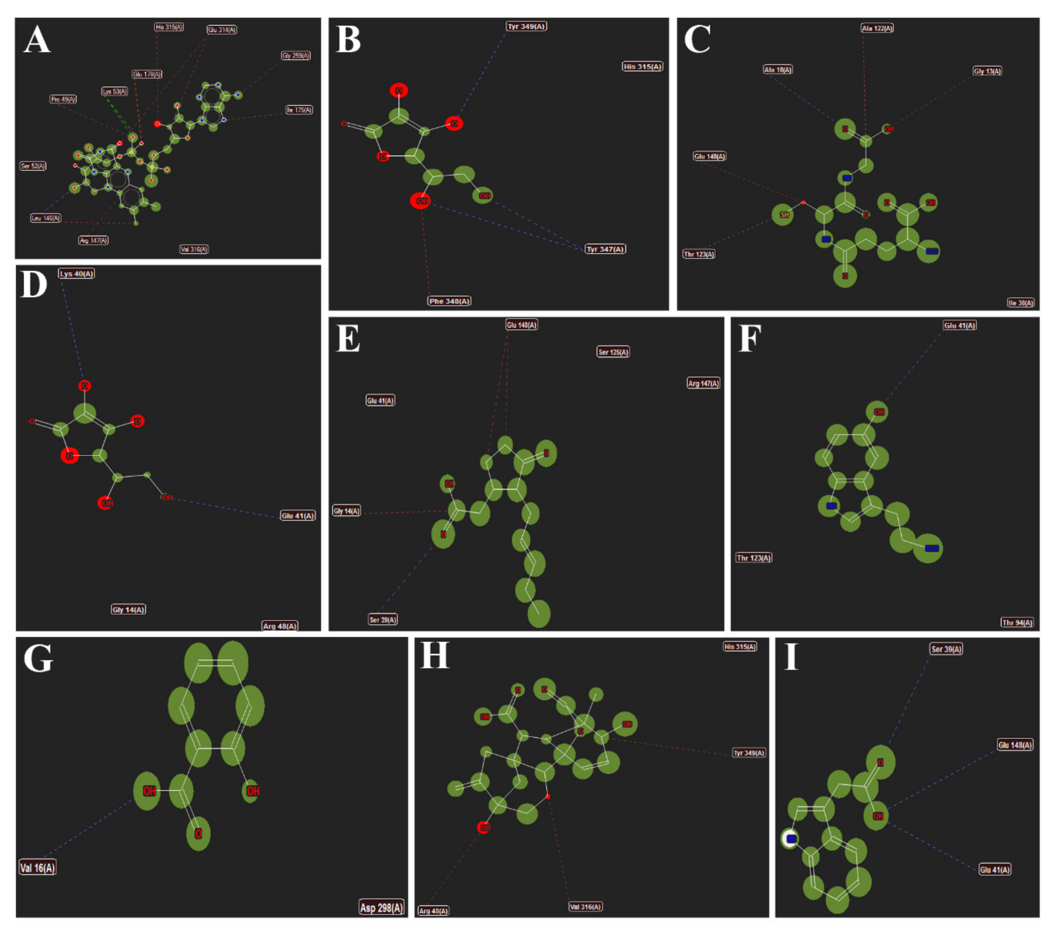 Antioxidants 11 00458 g008 550