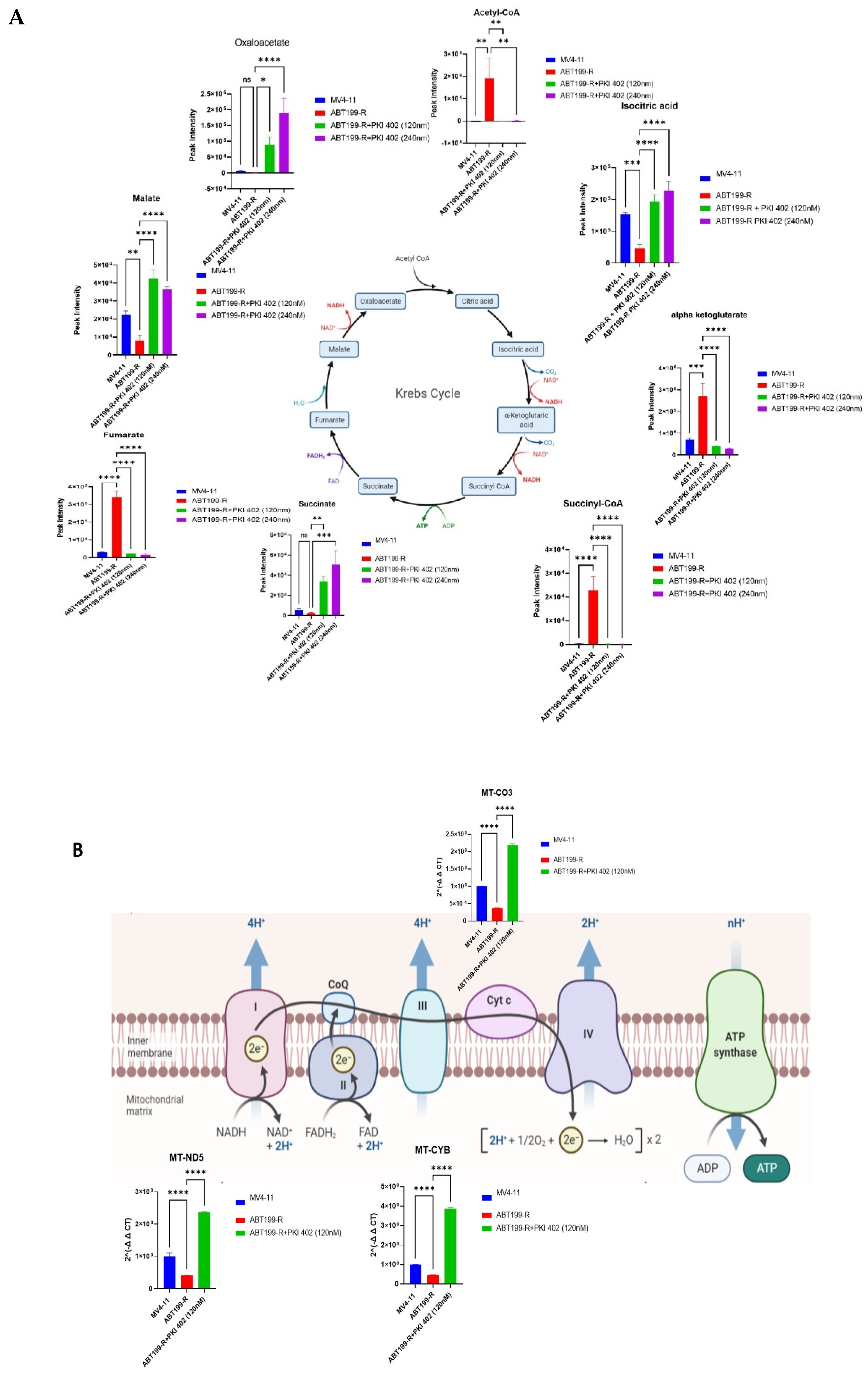 Antioxidants 11 00461 g006