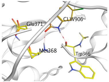 Antioxidants 11 00462 i001