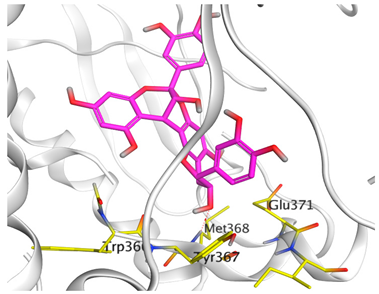 Antioxidants 11 00462 i005