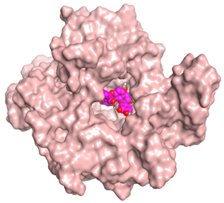 Antioxidants 11 00462 i006