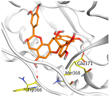 Antioxidants 11 00462 i007