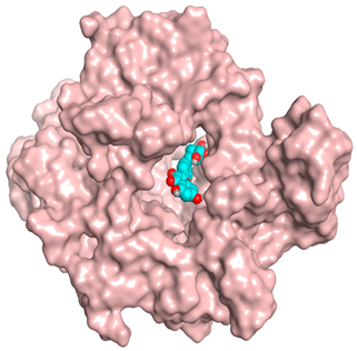 Antioxidants 11 00462 i010