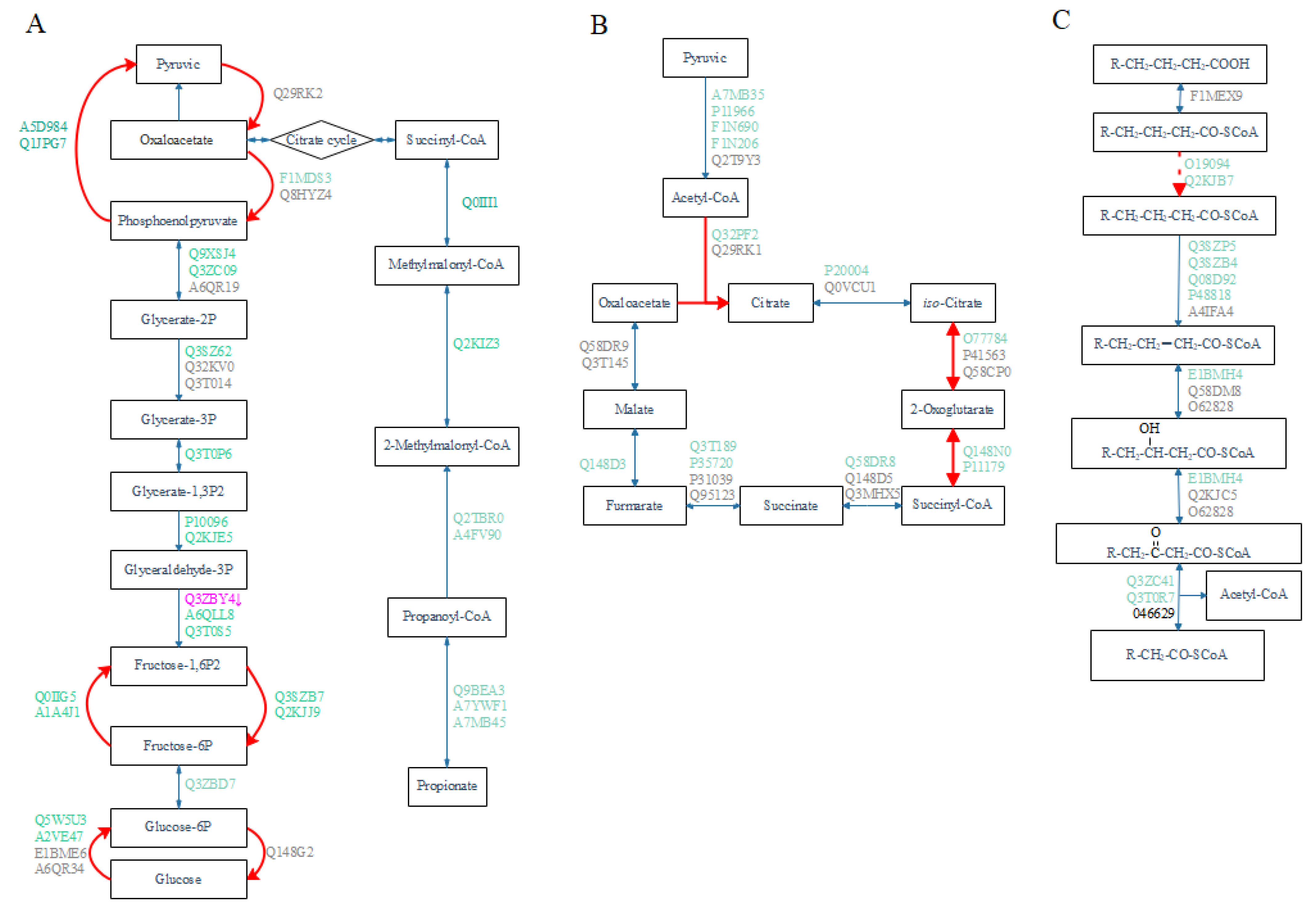 Antioxidants 11 00469 g003