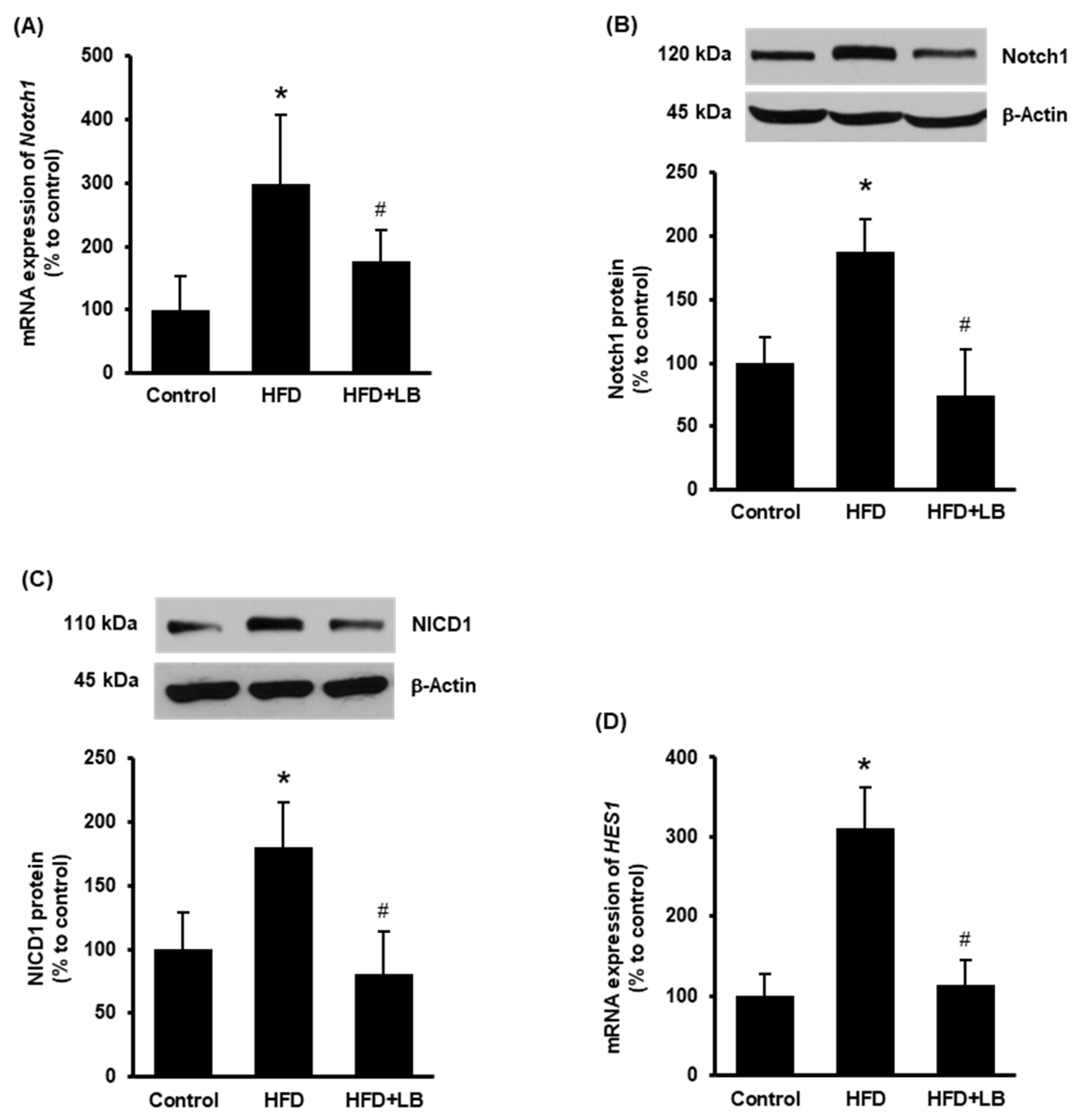 Antioxidants 11 00472 g001