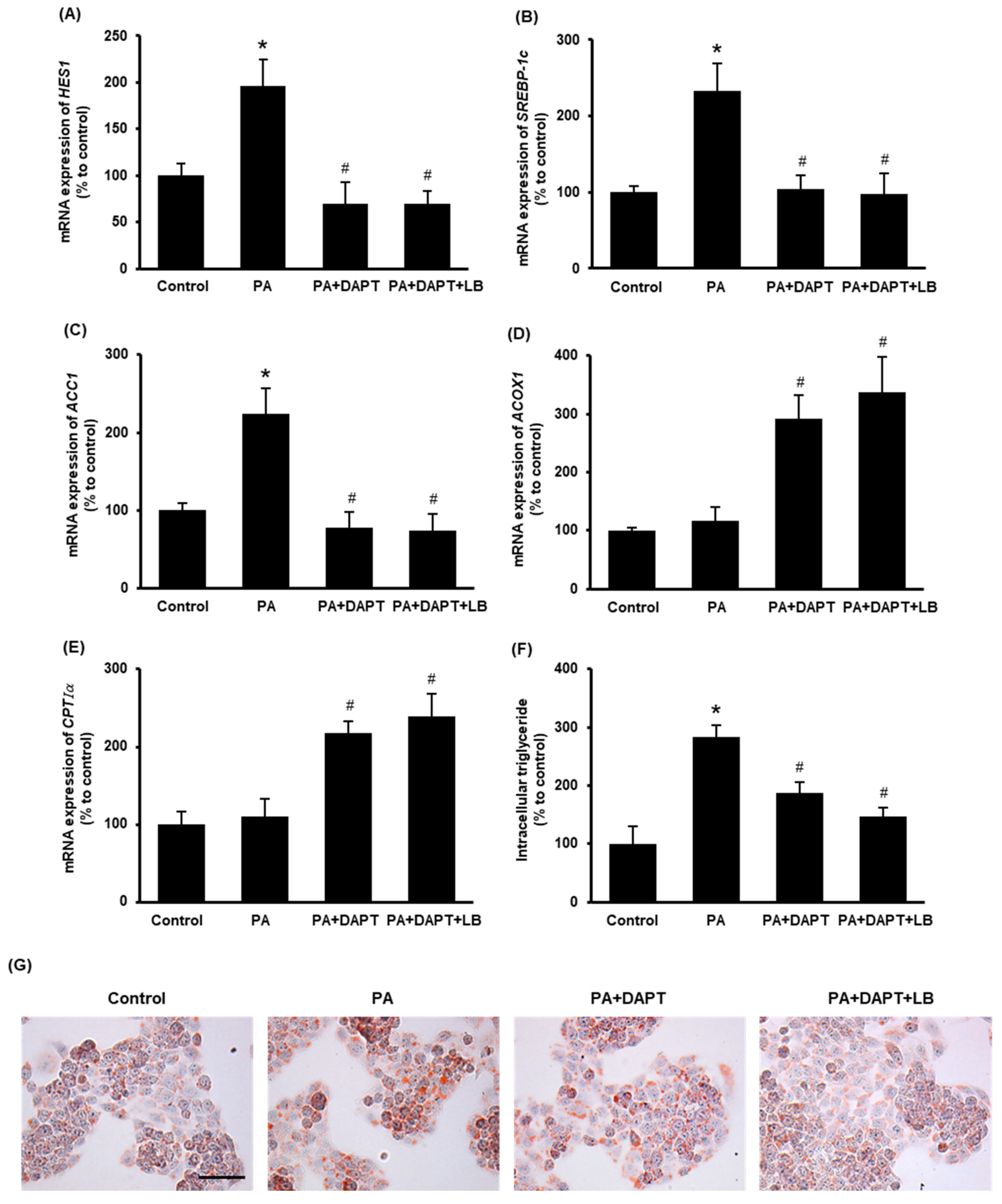 Antioxidants 11 00472 g005