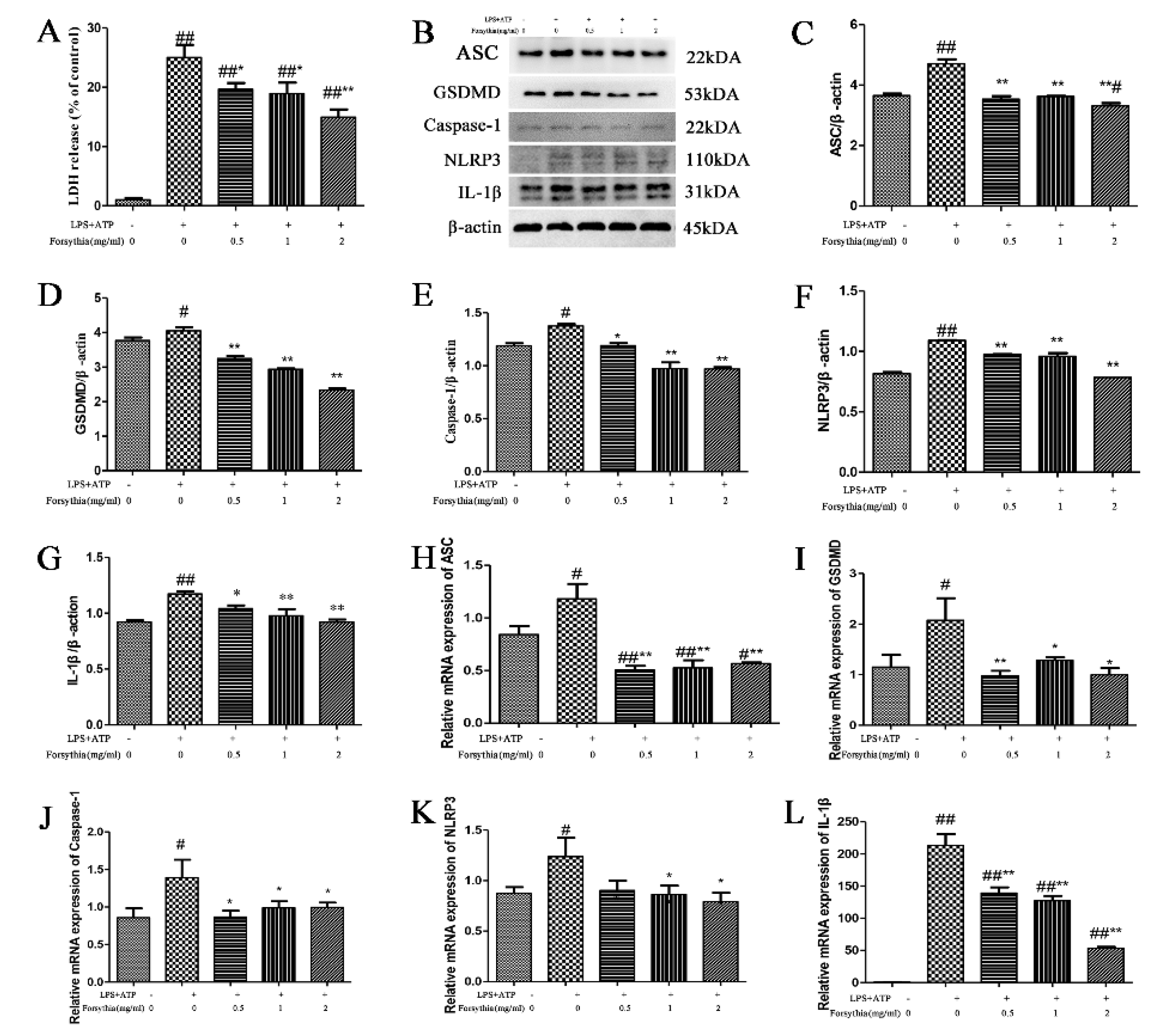 Antioxidants 11 00475 g005