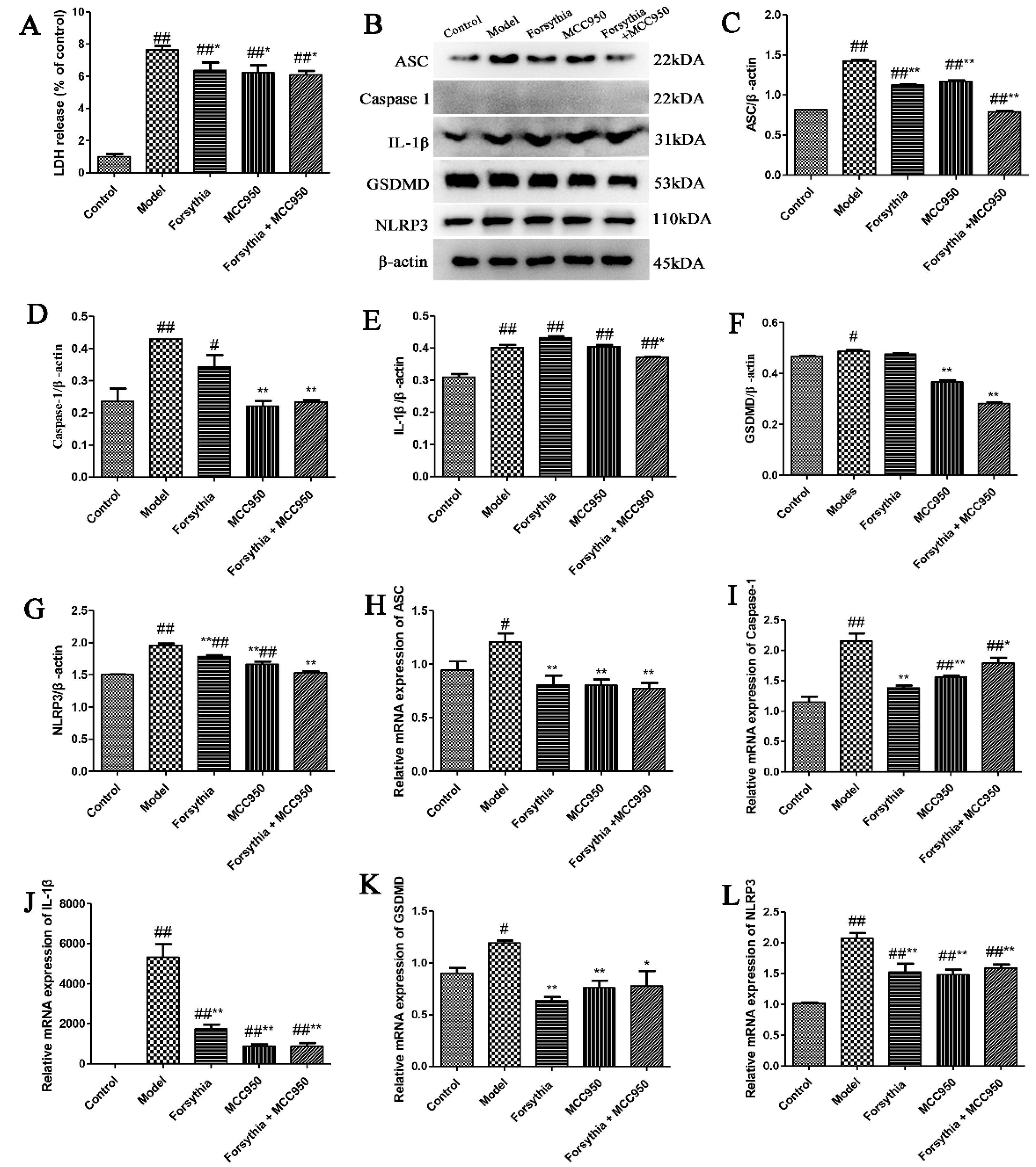 Antioxidants 11 00475 g008