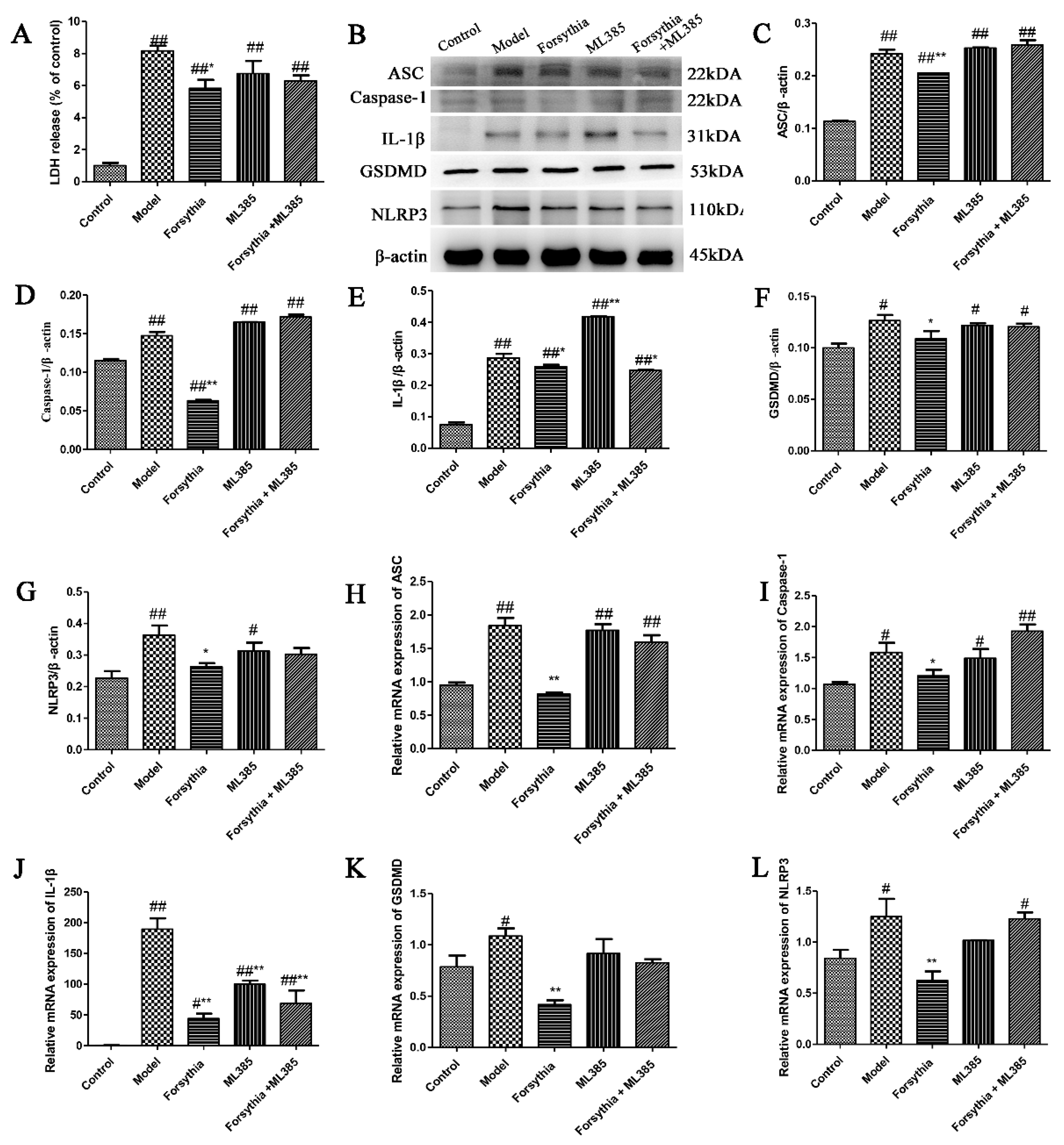 Antioxidants 11 00475 g010