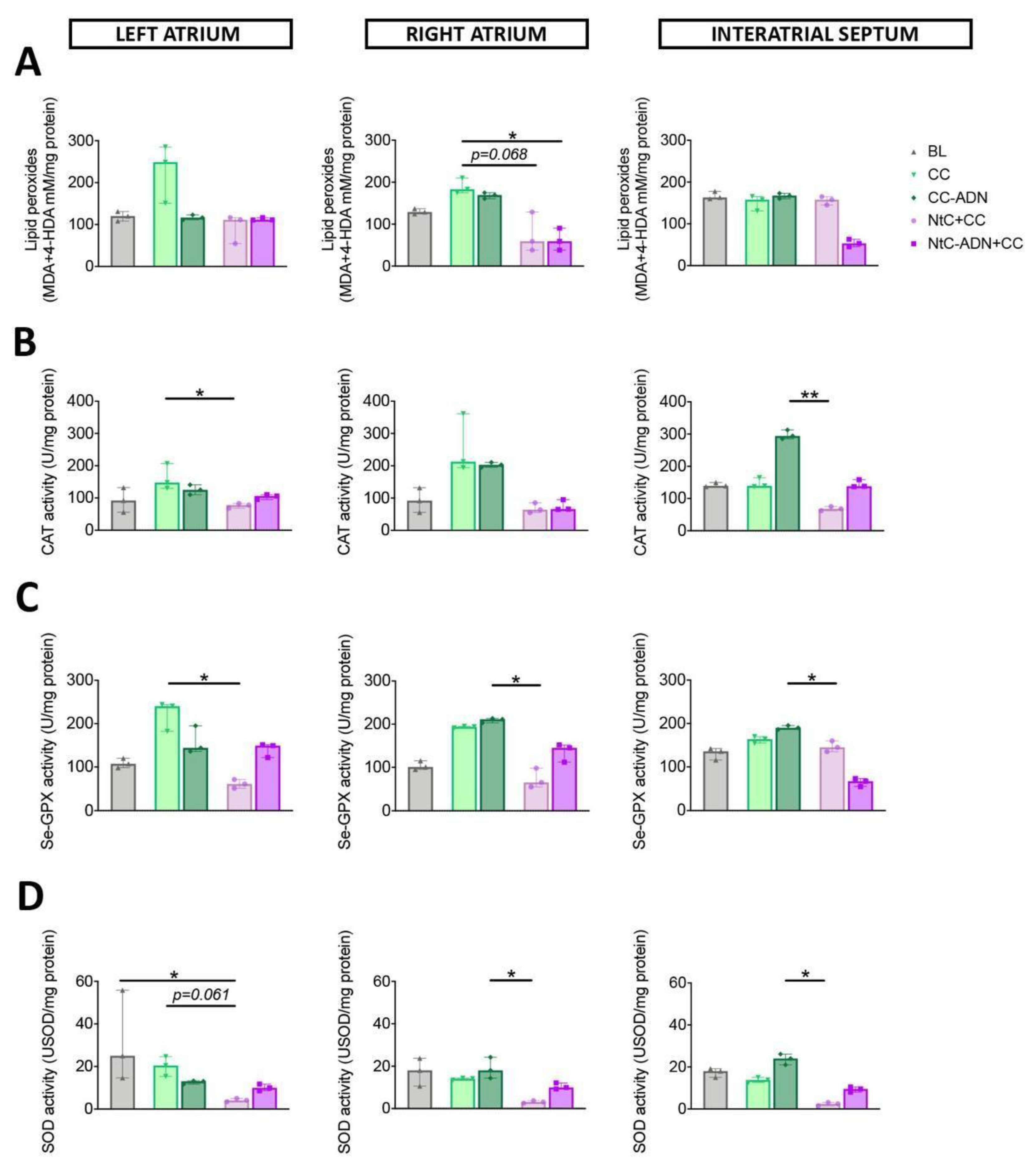 Antioxidants 11 00476 g002 Antioxidants 11 00476 g002