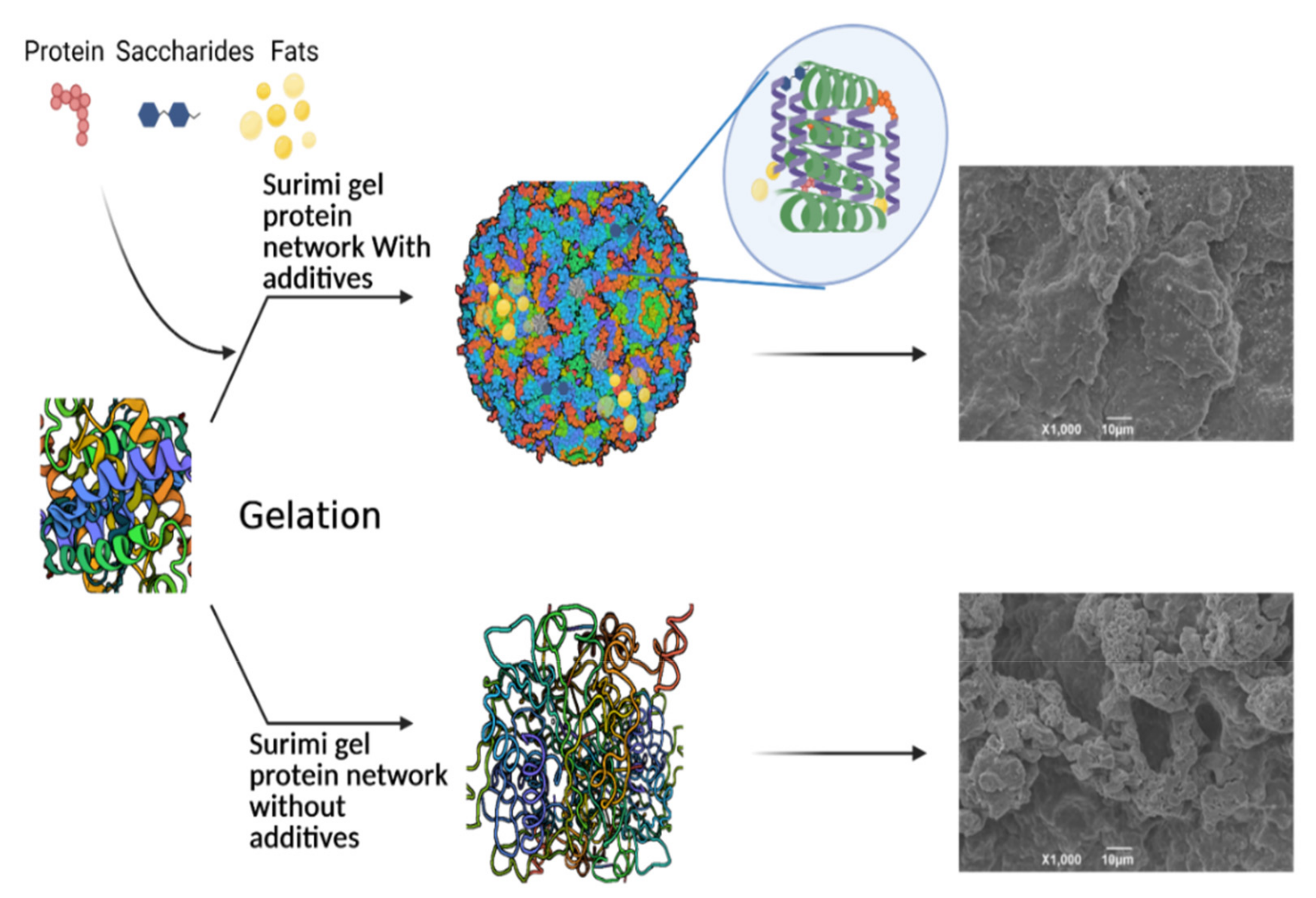 Antioxidants 11 00486 g001