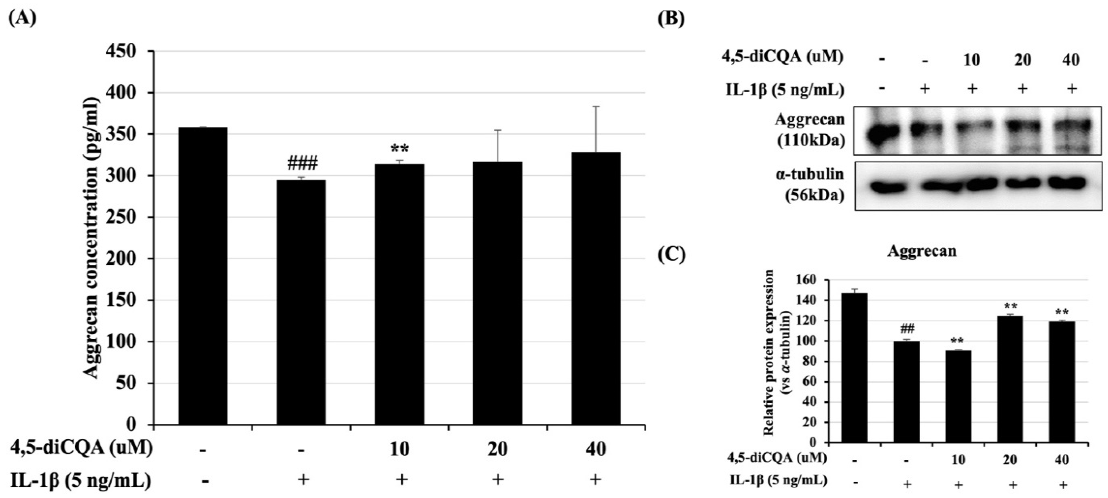 Antioxidants 11 00487 g004