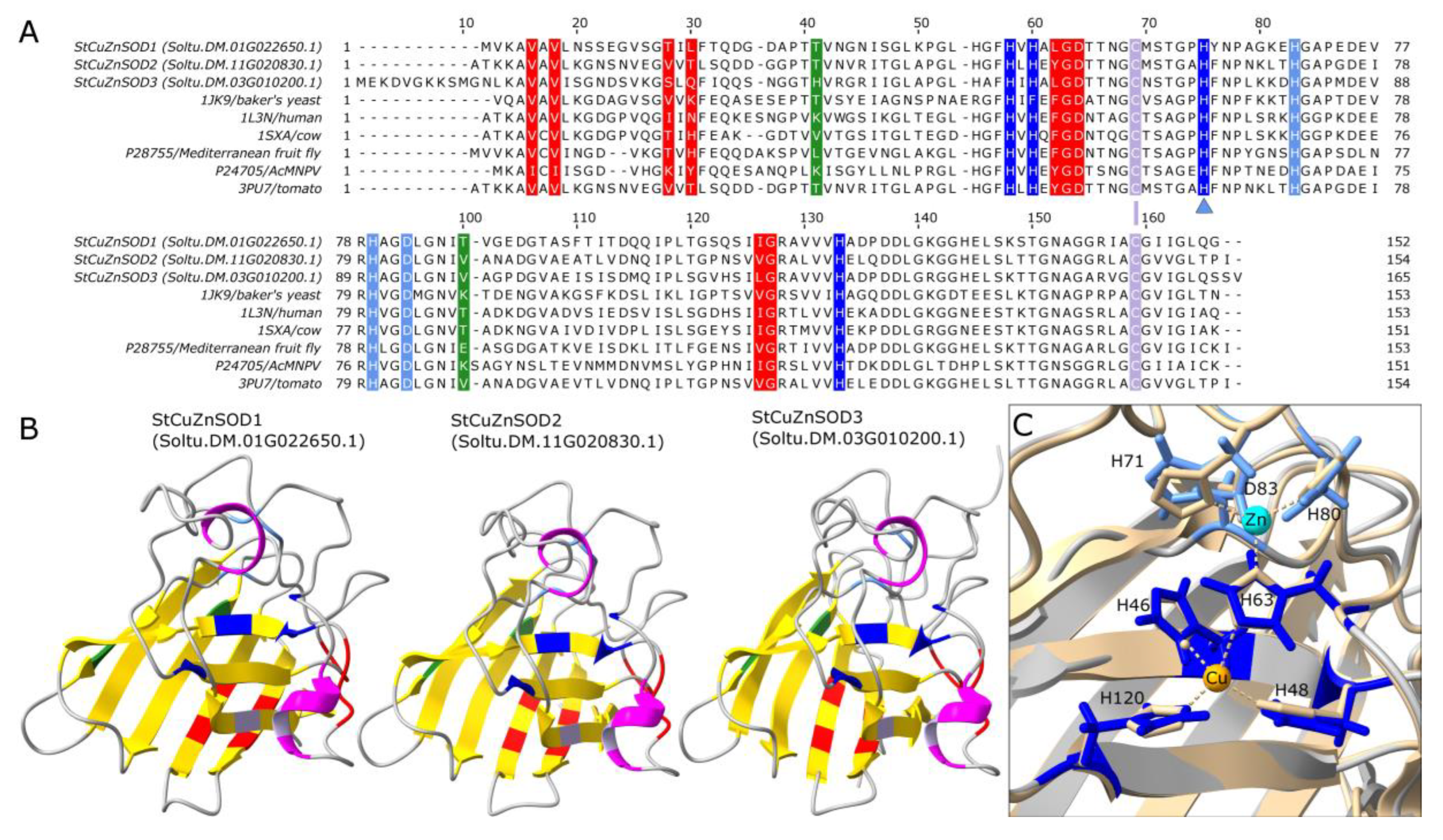 Antioxidants 11 00488 g004 550