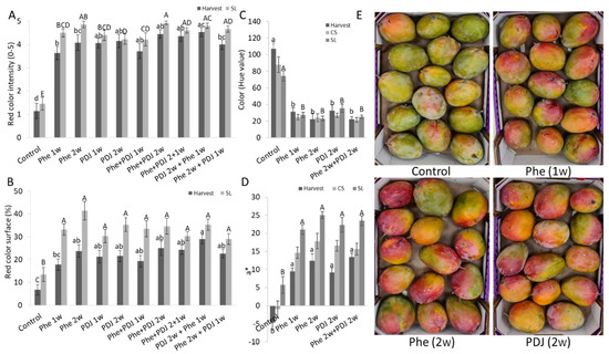 Forum: Mango Rotten?