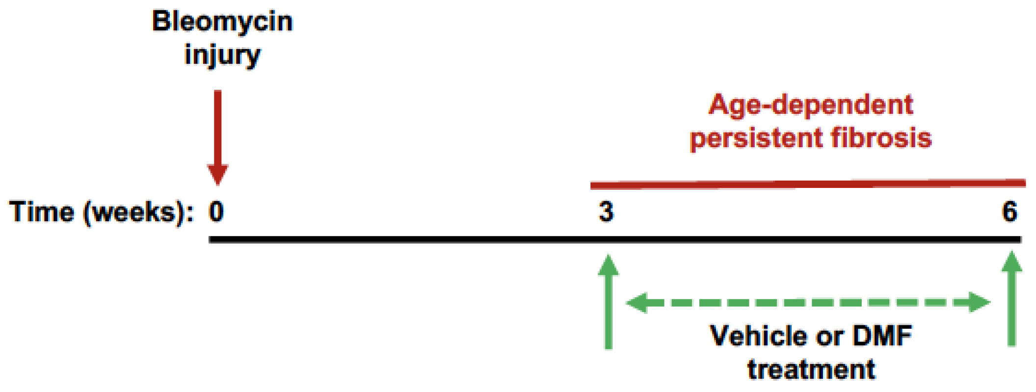 Antioxidants 11 00492 g003