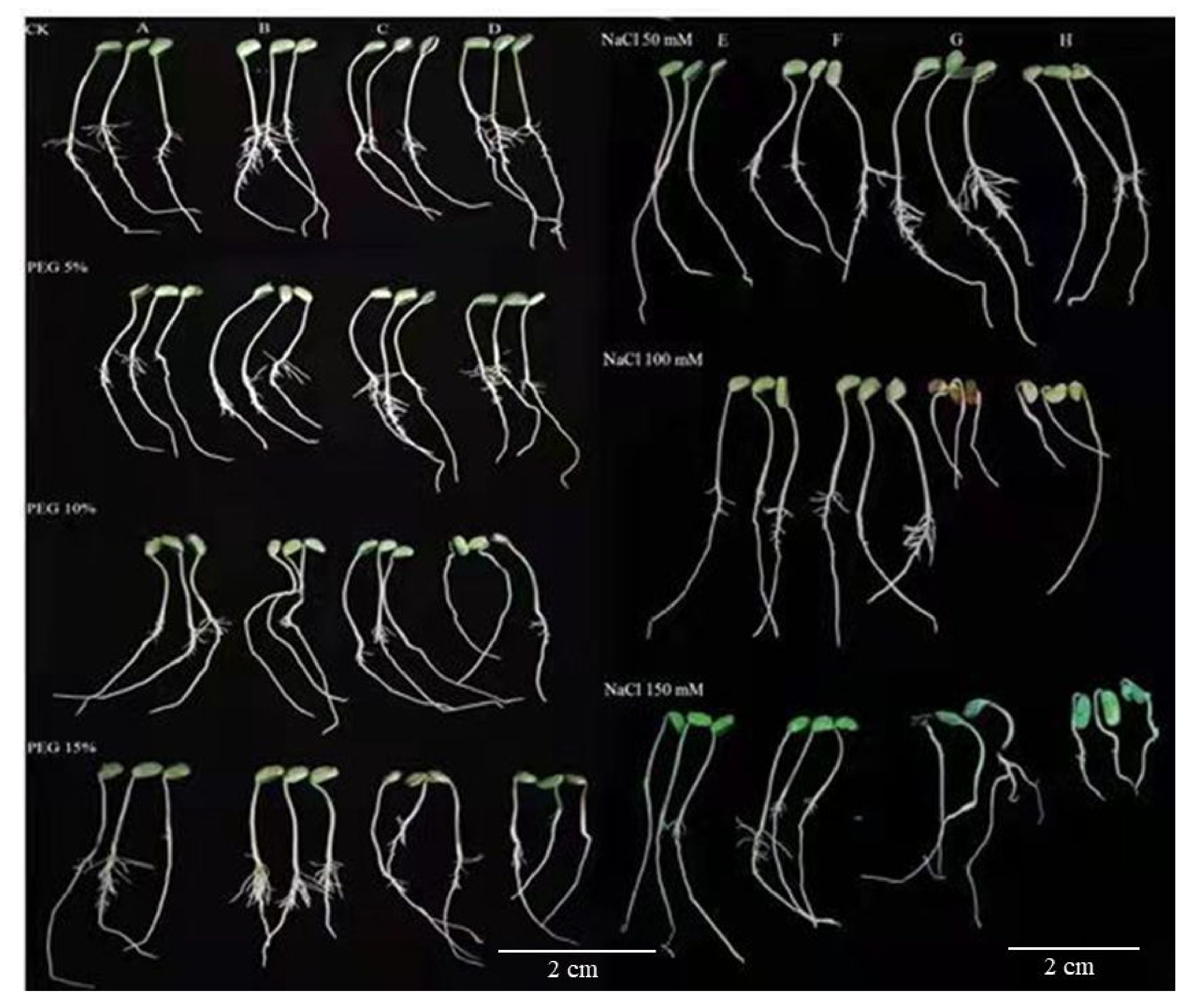 Antioxidants 11 00498 g002 550