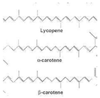 Antioxidants 11 00505 i004 Antioxidants 11 00505 i004