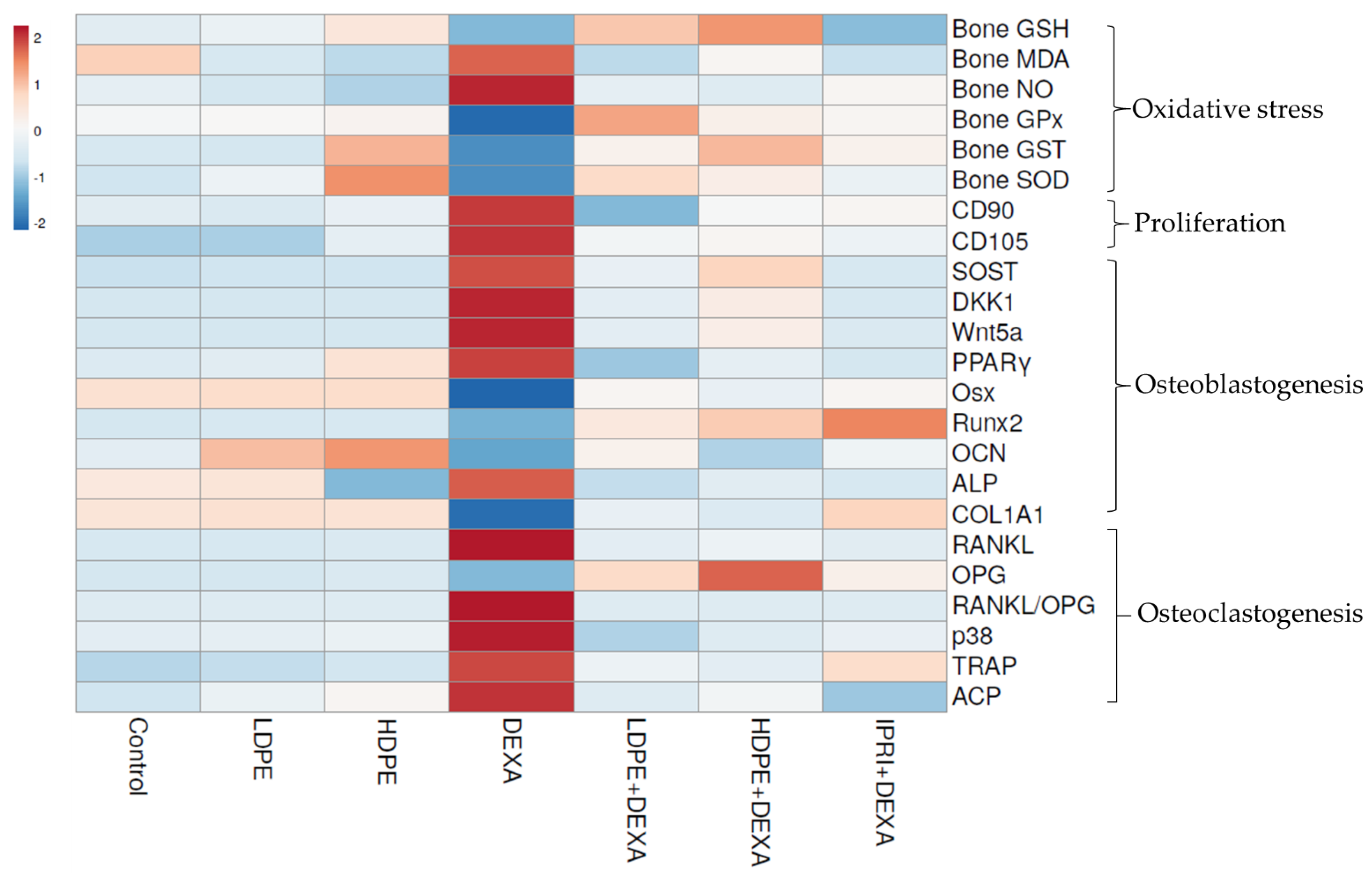 Antioxidants 11 00508 g007 550