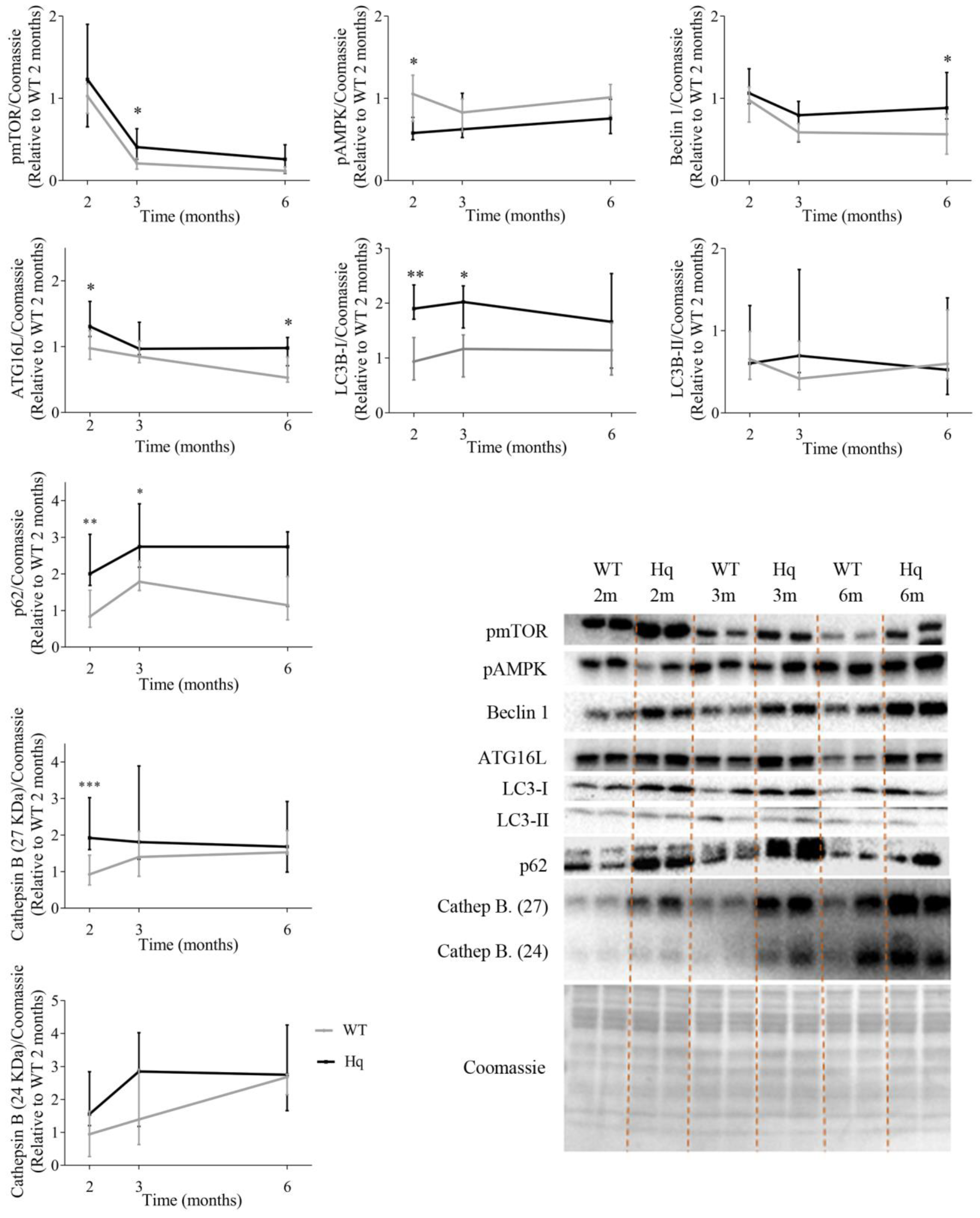 Antioxidants 11 00510 g001 550