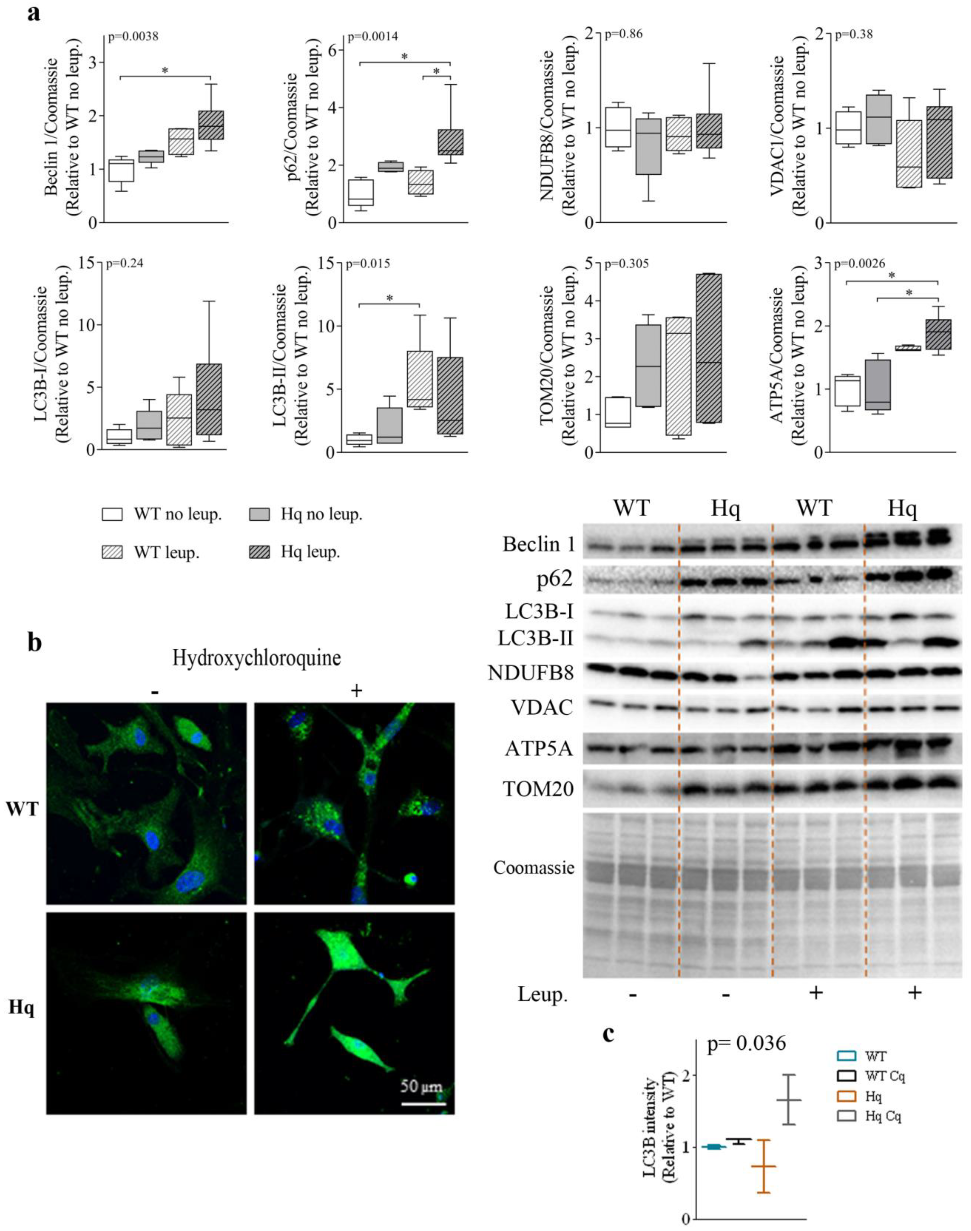Antioxidants 11 00510 g002 550
