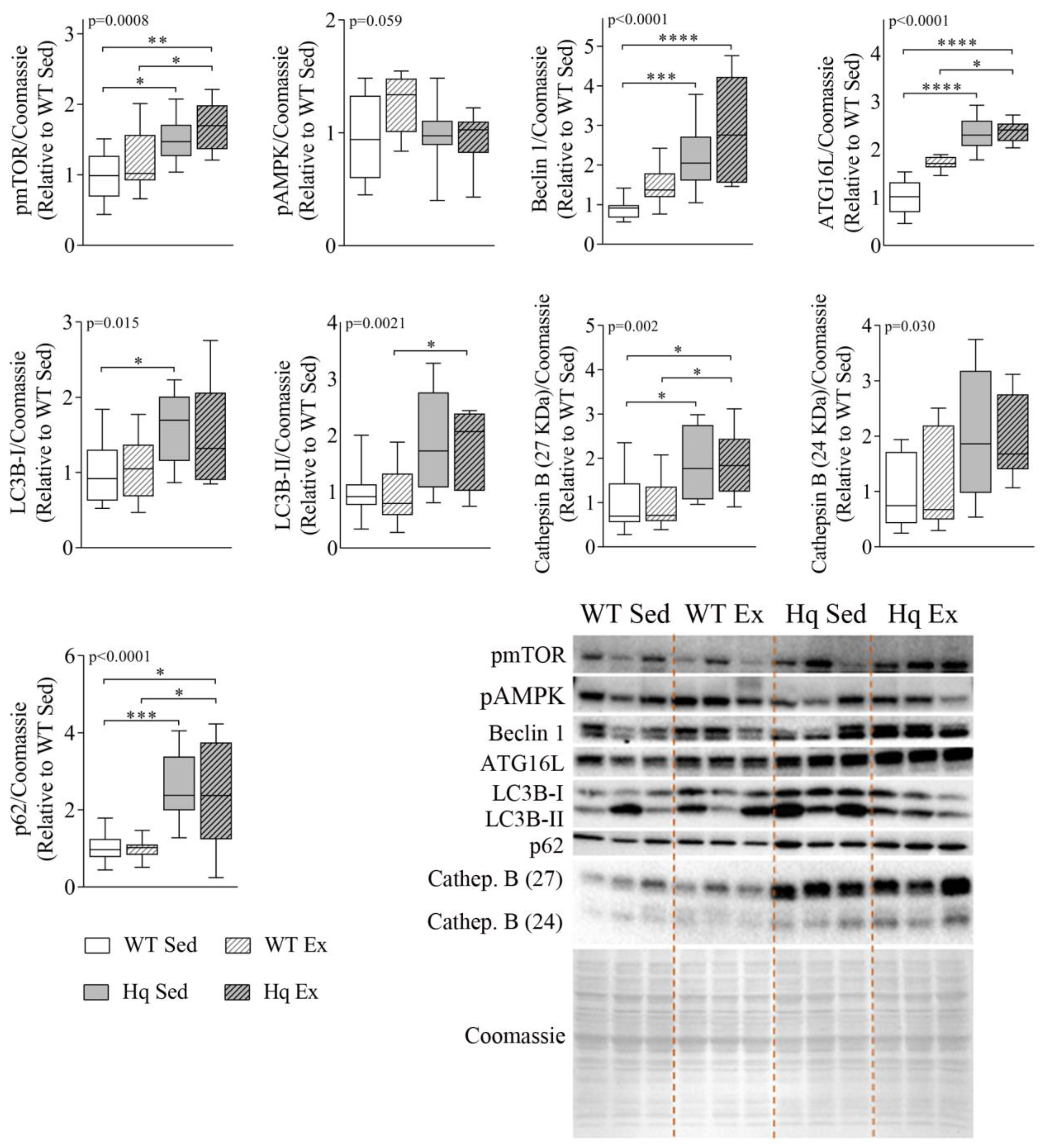 Antioxidants 11 00510 g003 550
