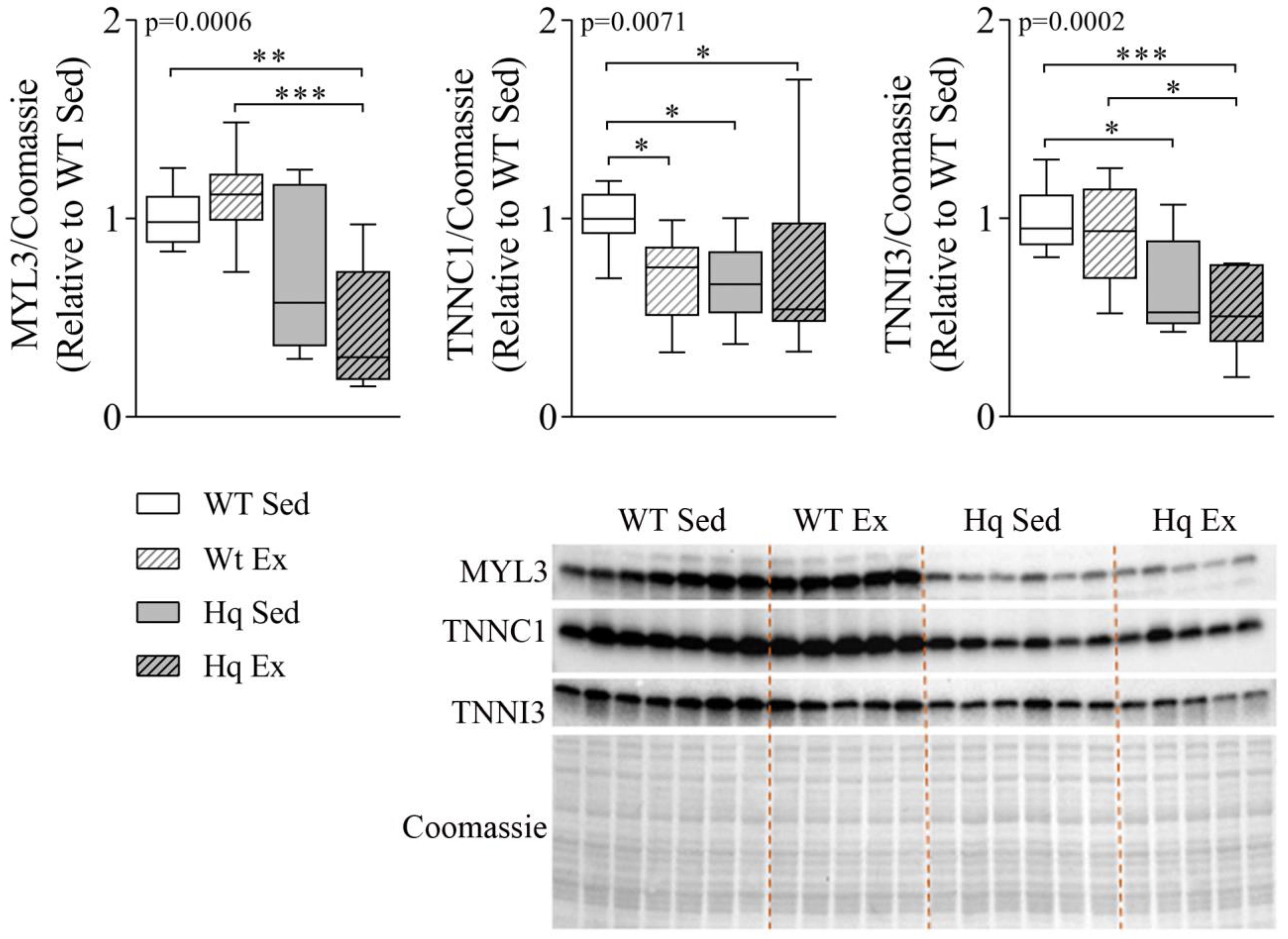 Antioxidants 11 00510 g004 550
