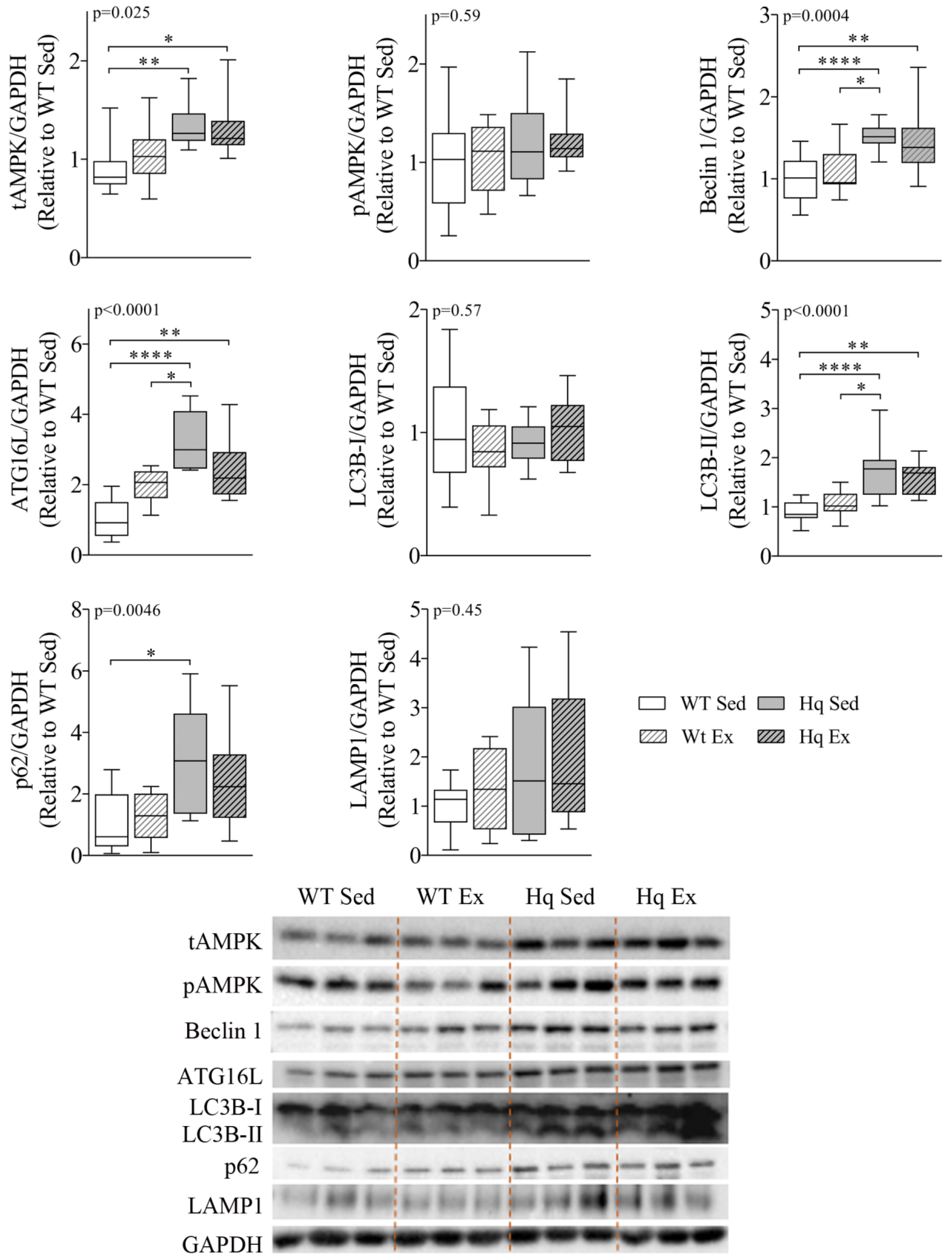 Antioxidants 11 00510 g005 550