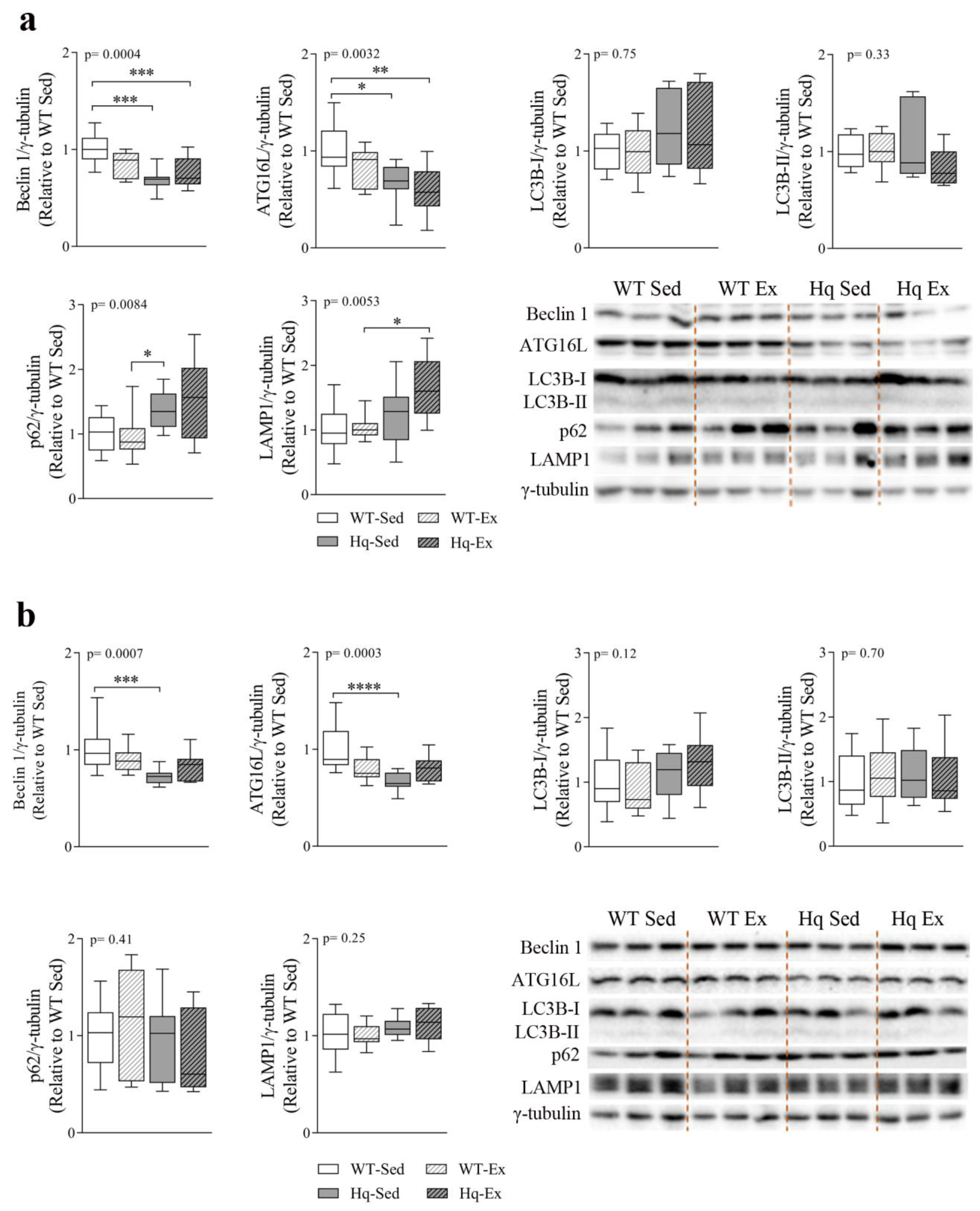 Antioxidants 11 00510 g006 550