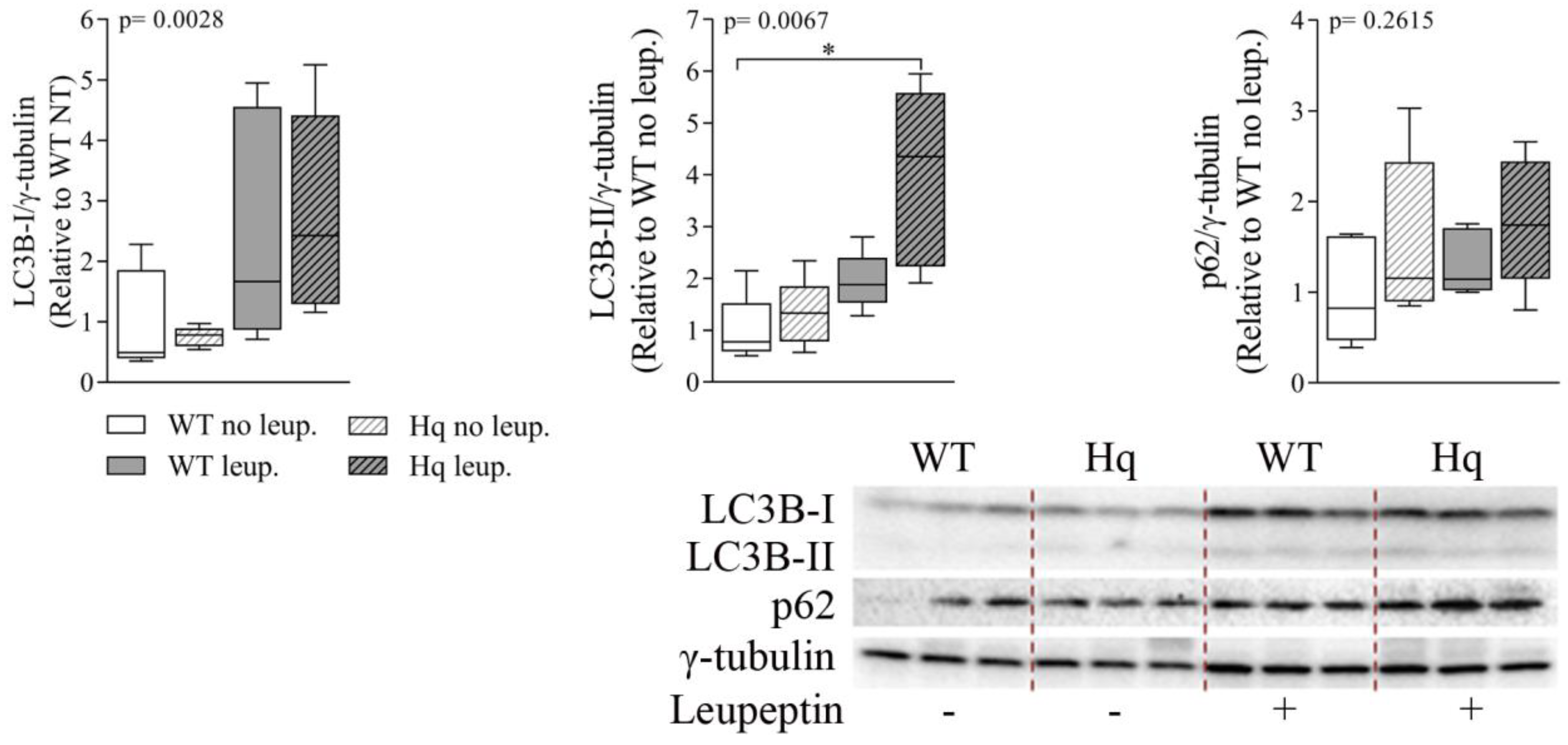 Antioxidants 11 00510 g007 550