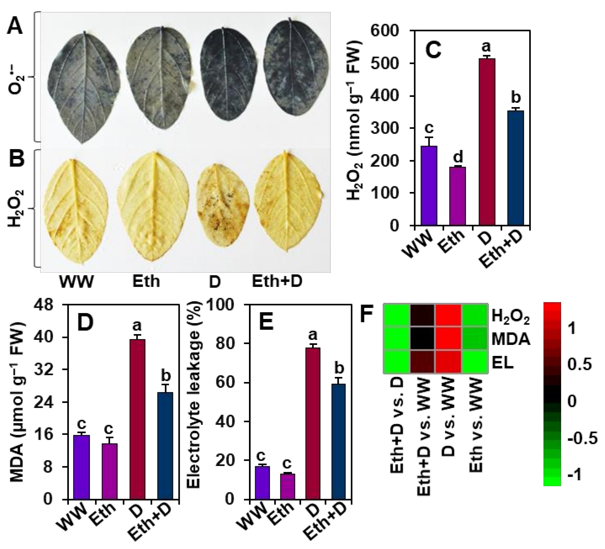 Antioxidants 11 00516 g004